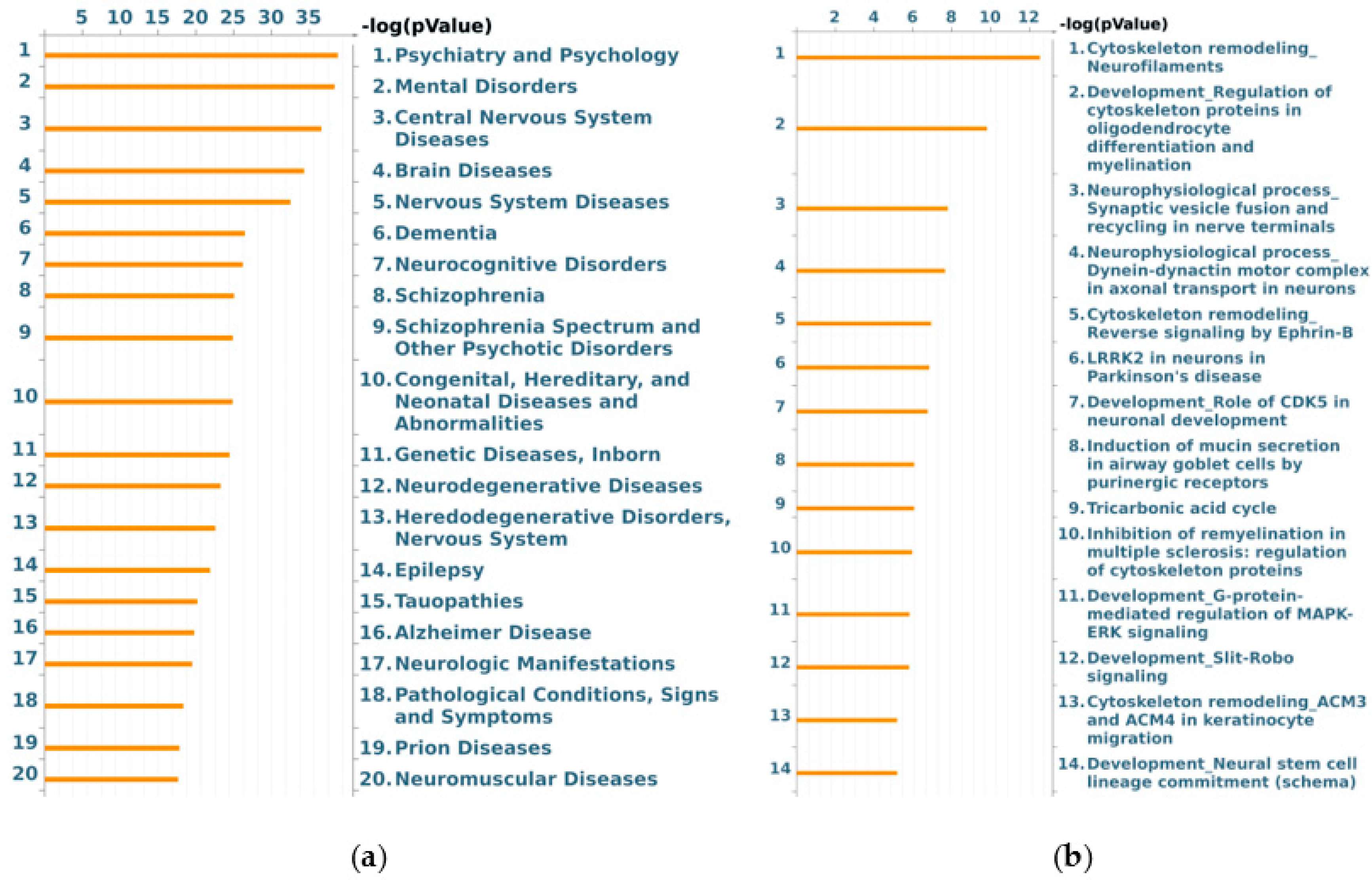 Biomolecules 10 00355 g004
