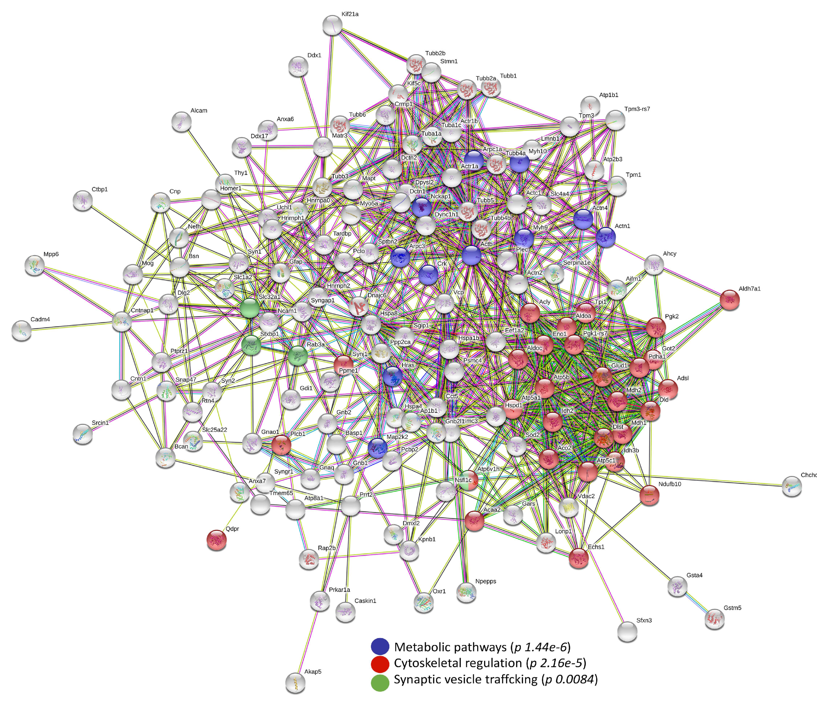 Biomolecules 10 00355 g005