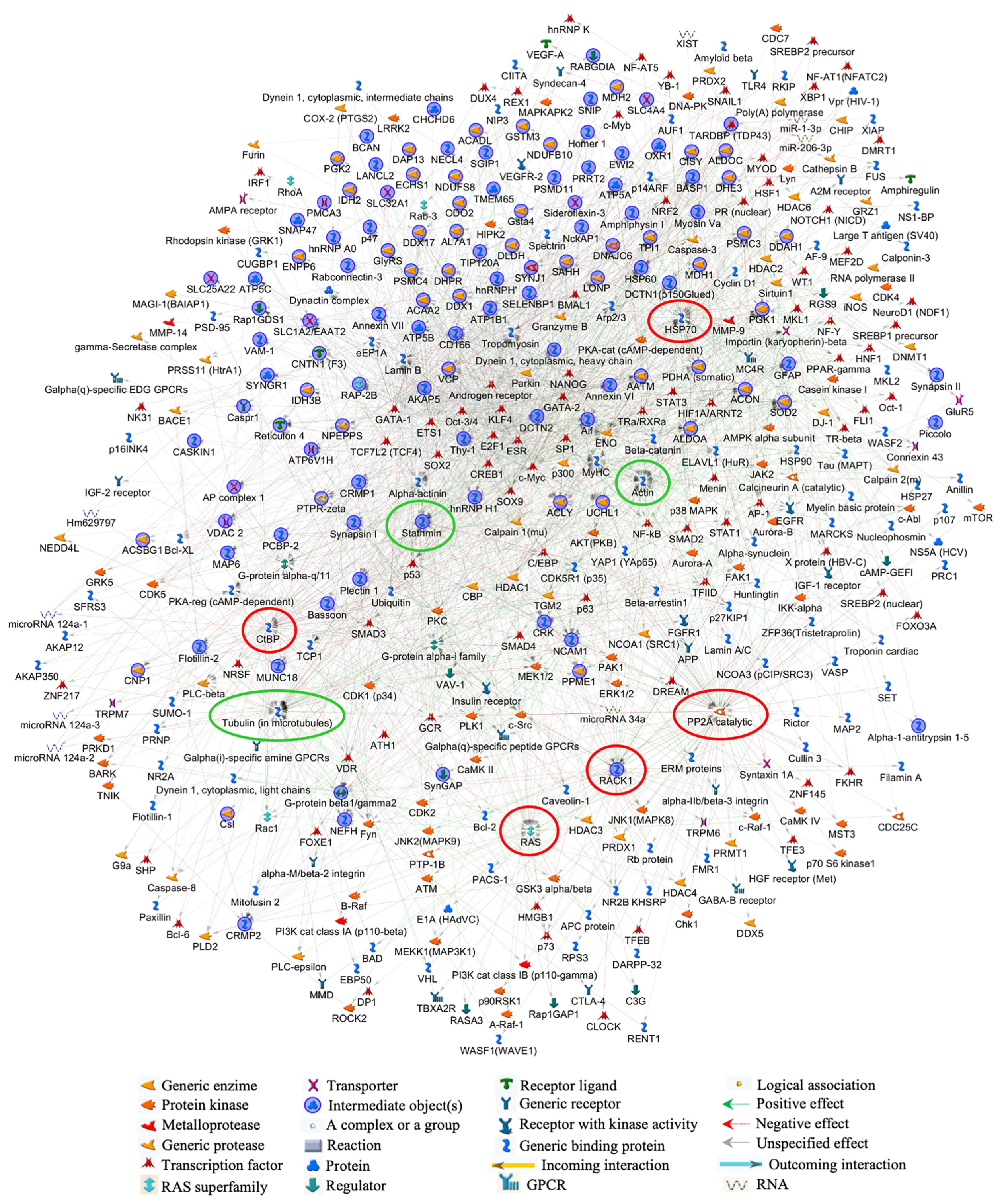 Biomolecules 10 00355 g006
