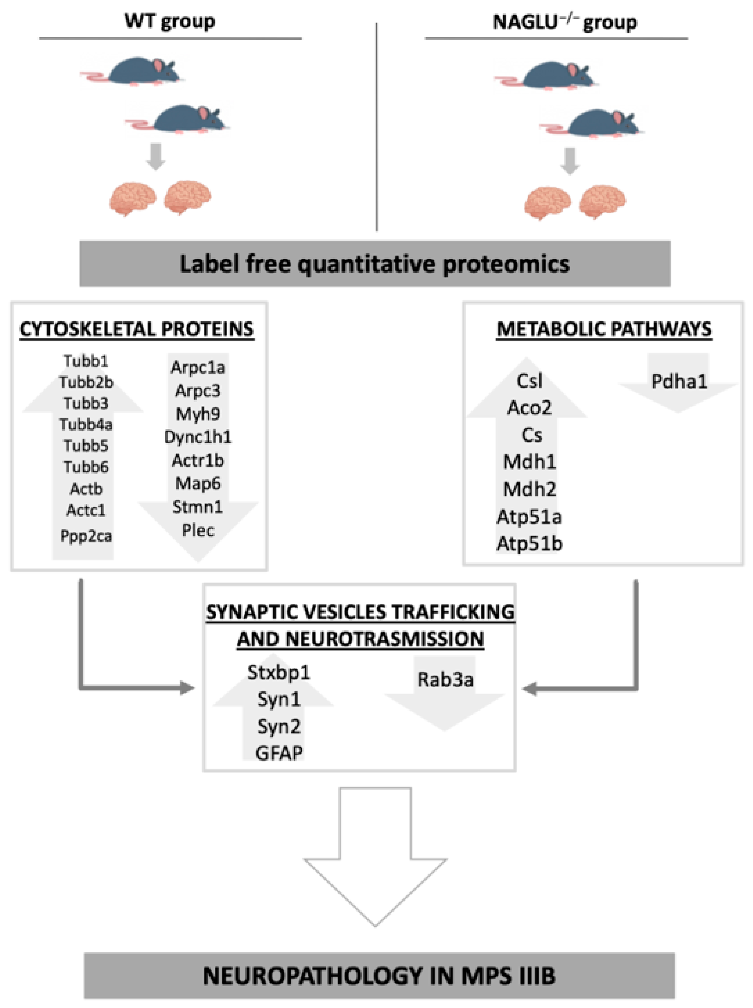 Biomolecules 10 00355 g007