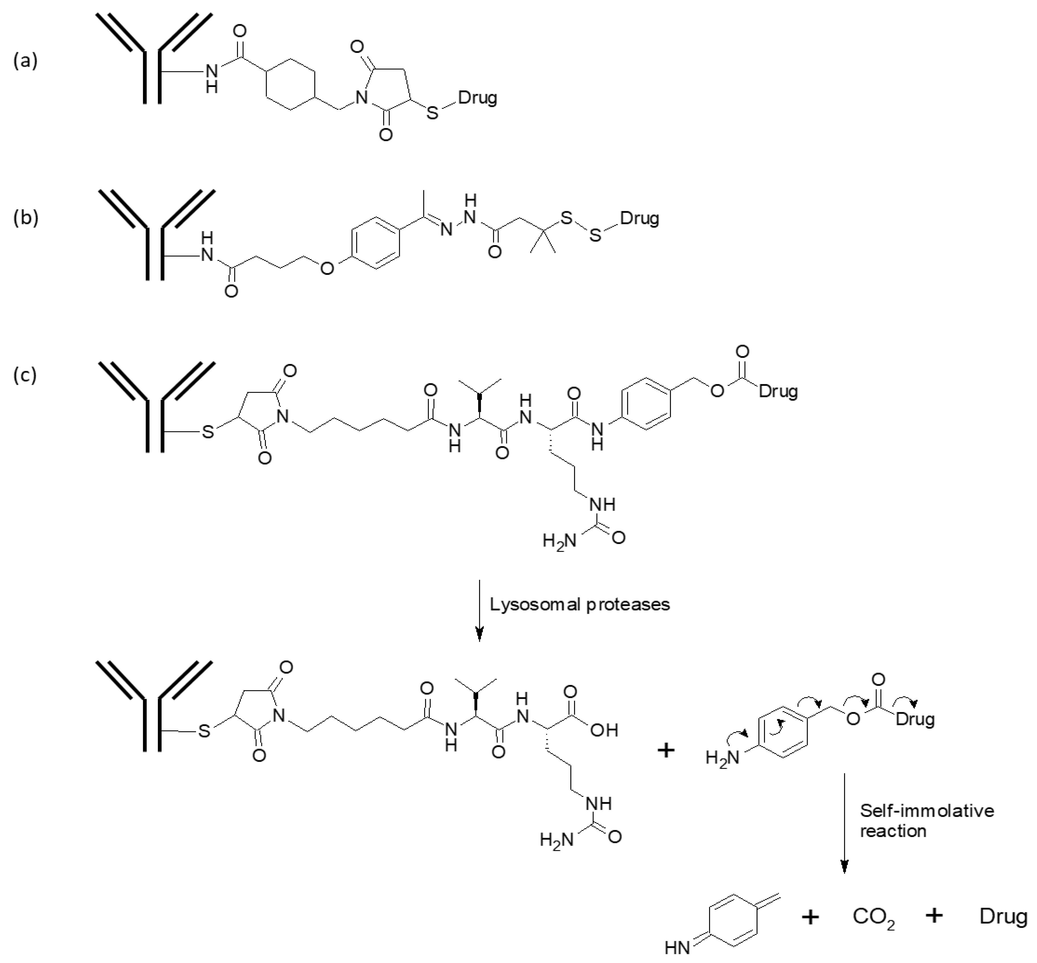 Biomolecules 10 00360 g003 Biomolecules 10 00360 g003