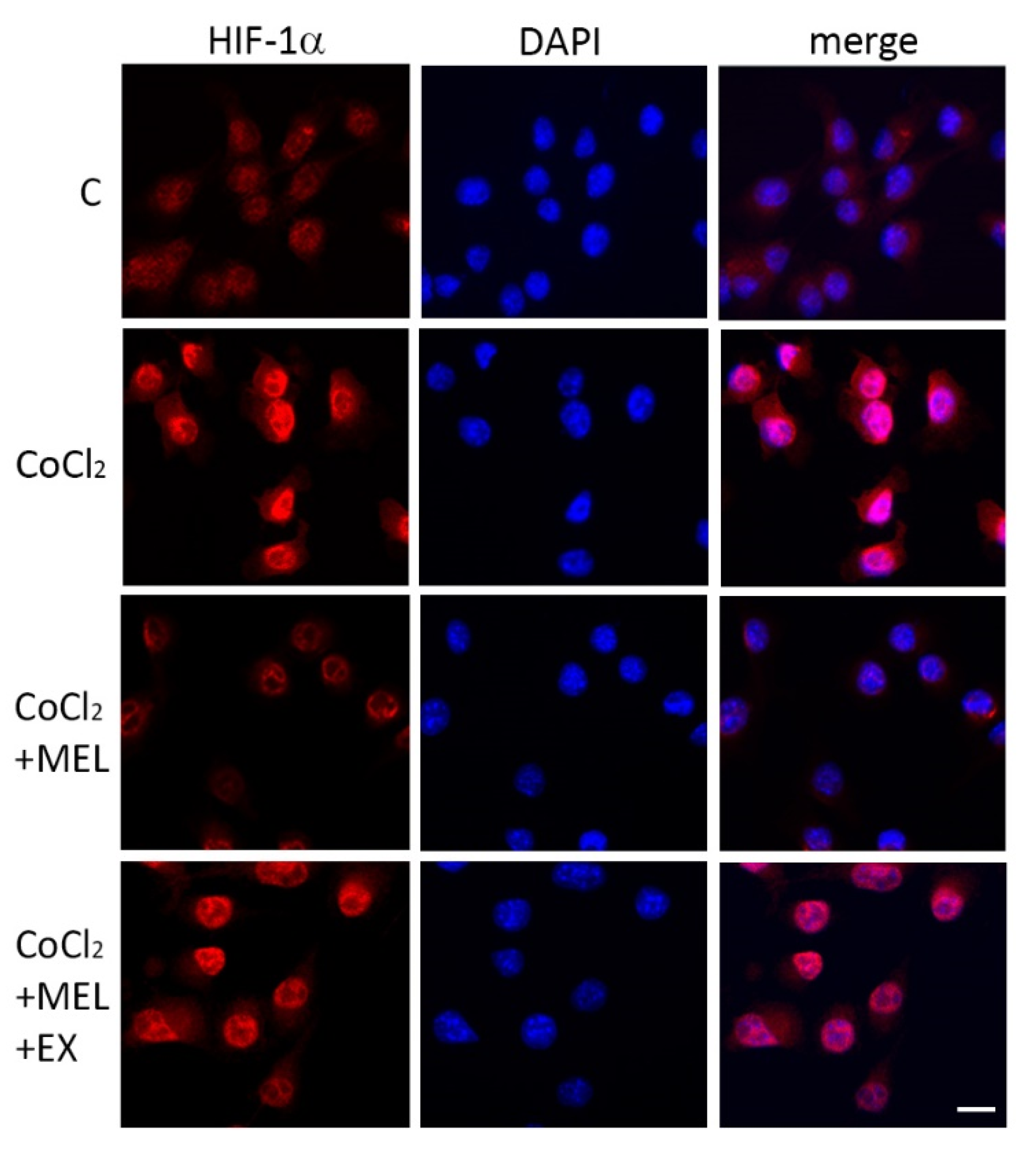 Biomolecules 10 00364 g005 Biomolecules 10 00364 g005