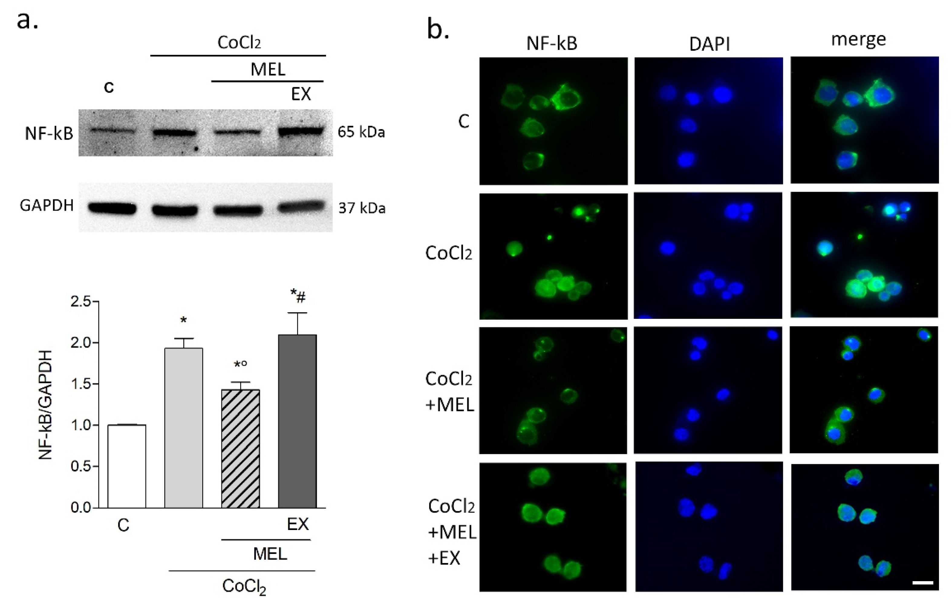 Biomolecules 10 00364 g006 Biomolecules 10 00364 g006