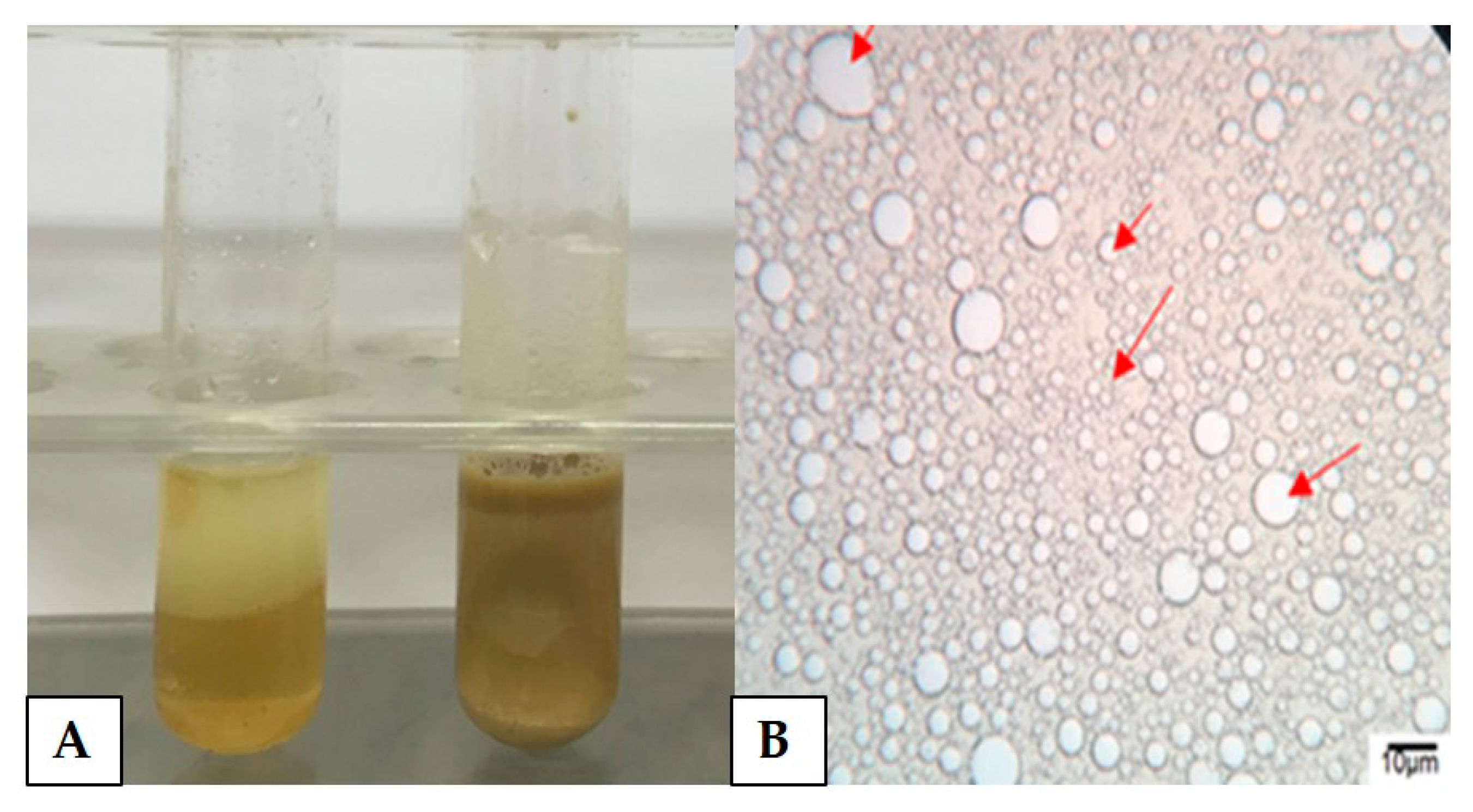 Biomolecules 10 00365 g001 Biomolecules 10 00365 g001