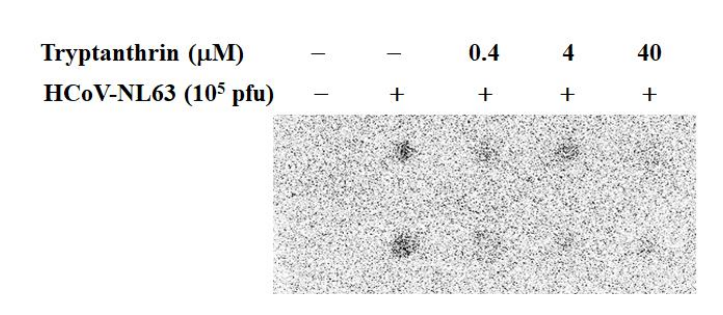 Biomolecules 10 00366 g011
