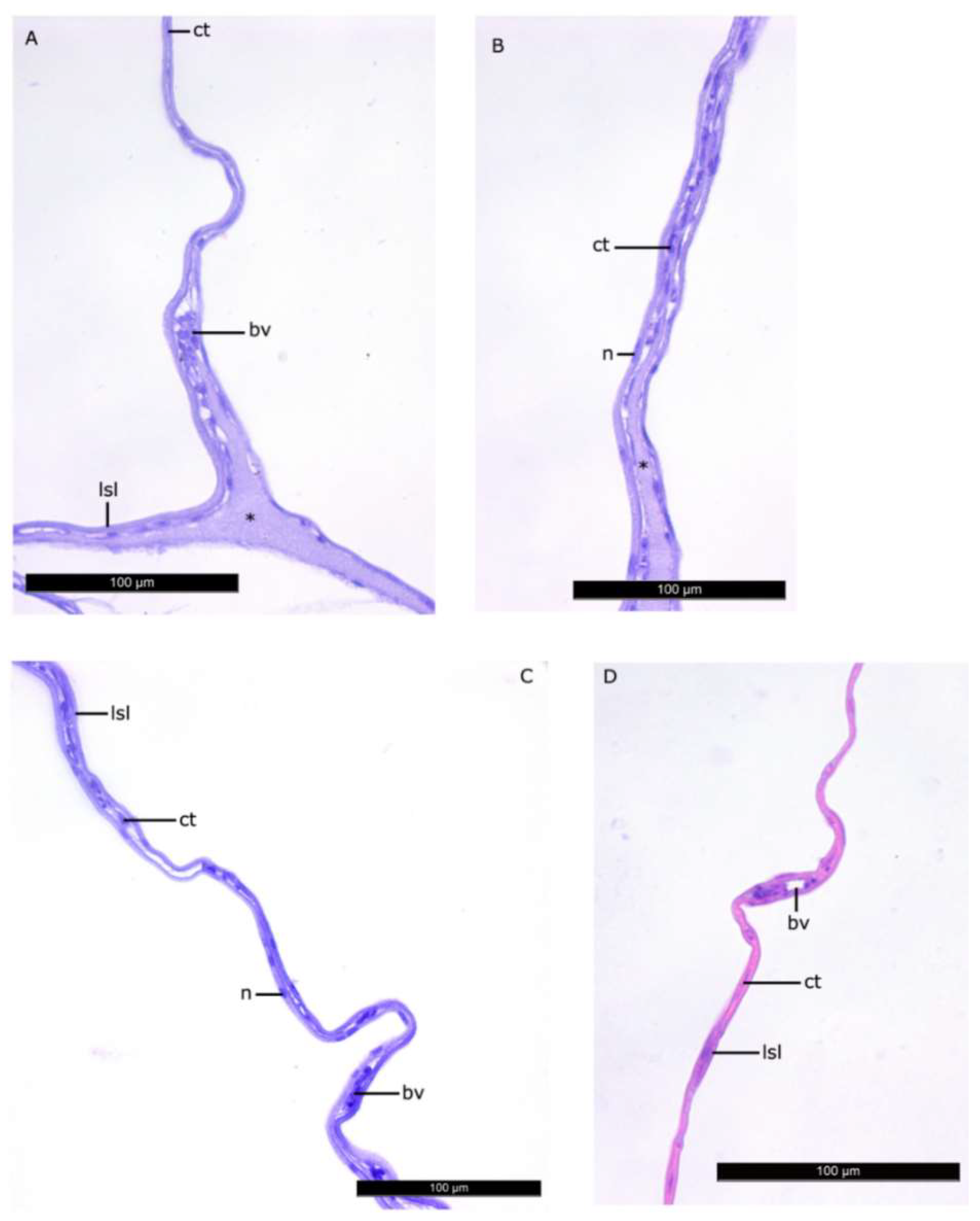 Biomolecules 10 00368 g004 Biomolecules 10 00368 g004