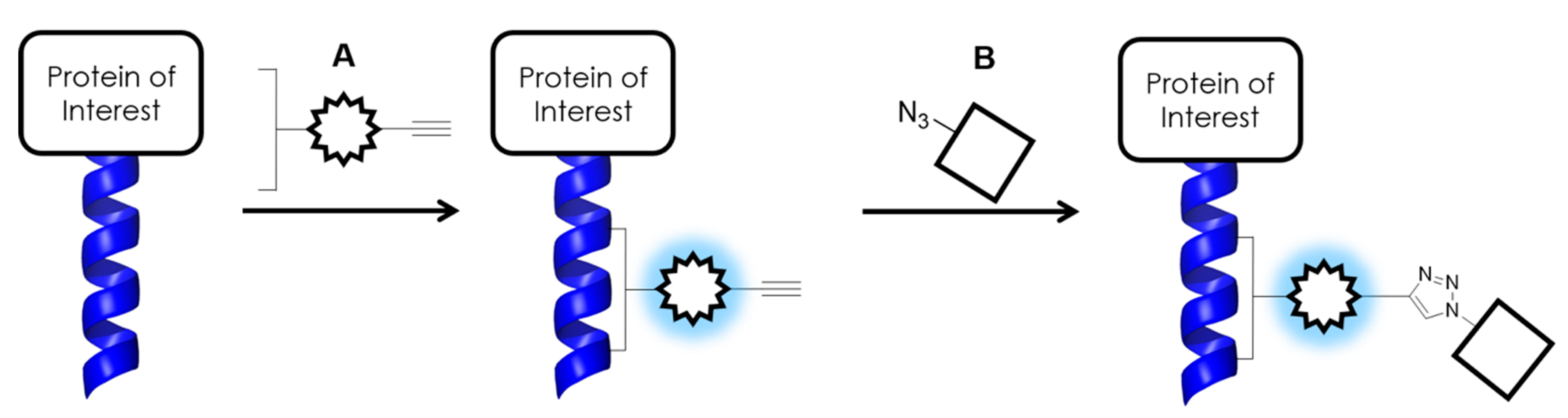 Biomolecules 10 00369 sch001 Biomolecules 10 00369 sch001