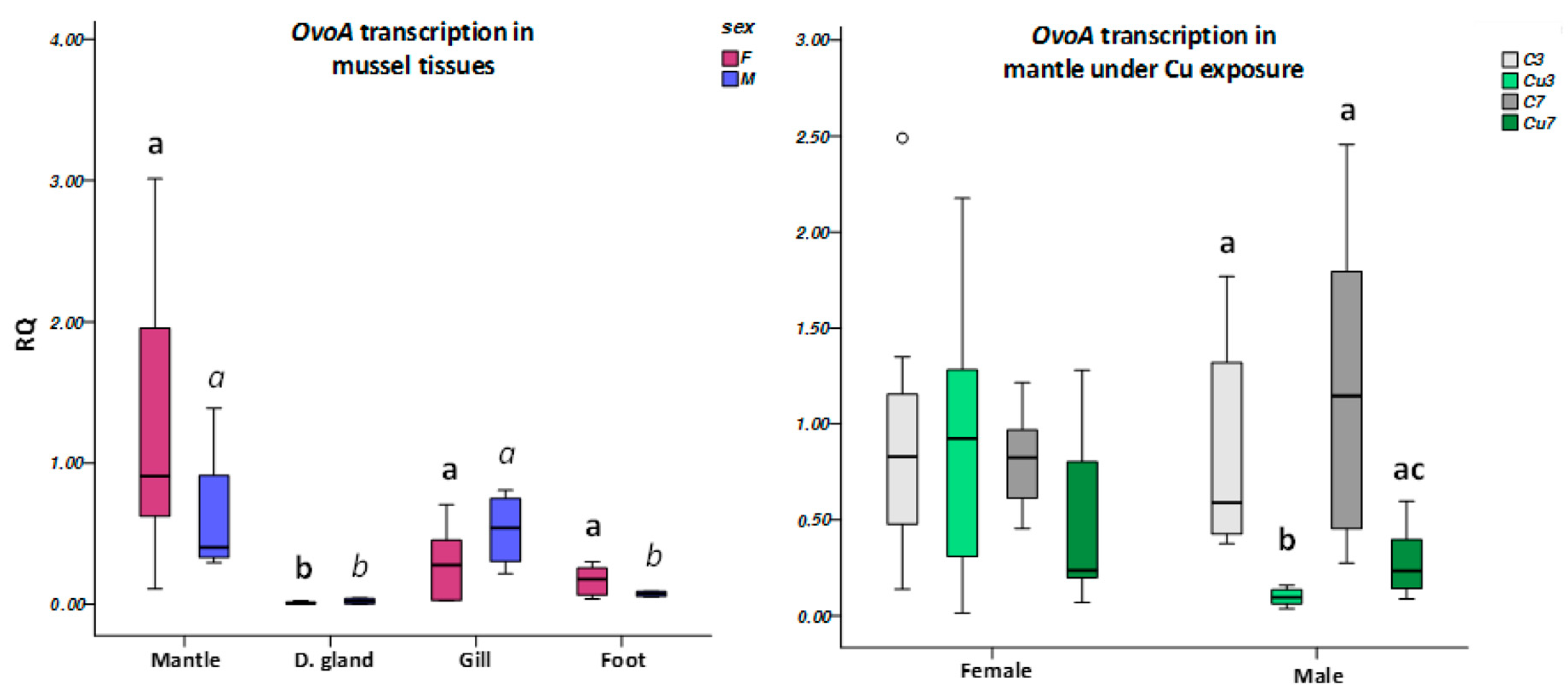 Biomolecules 10 00373 g003