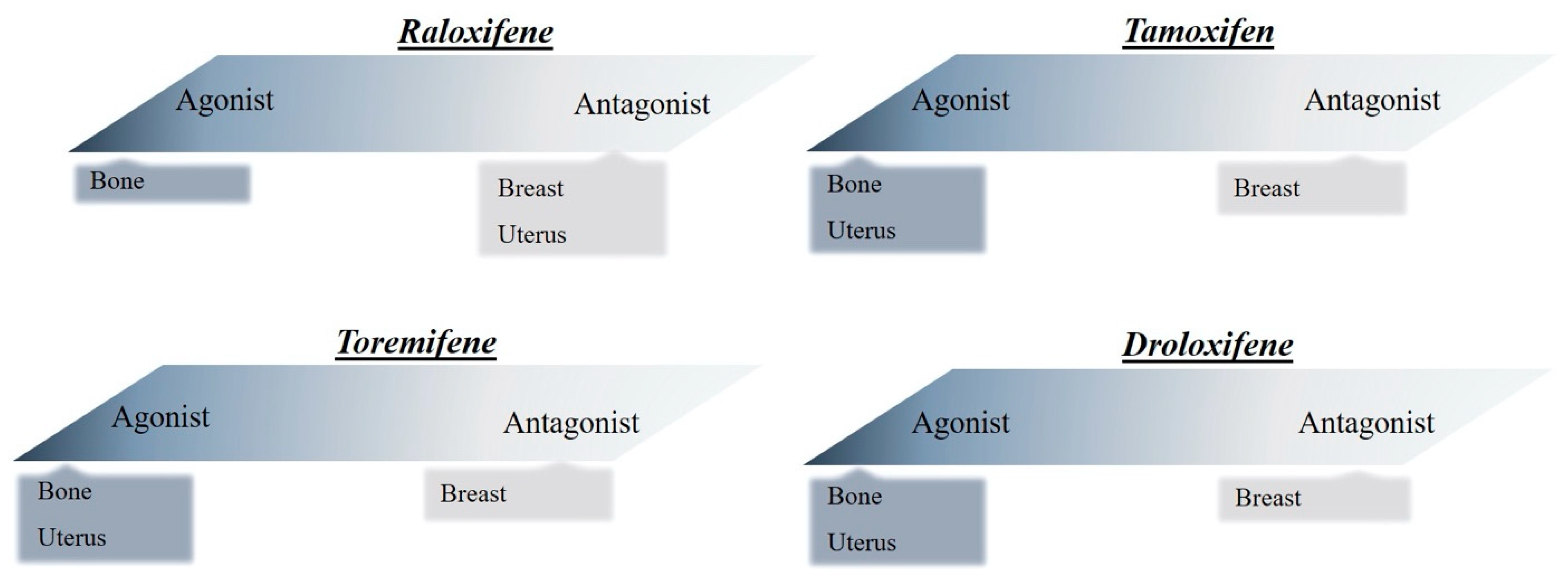 Biomolecules 10 00375 g001