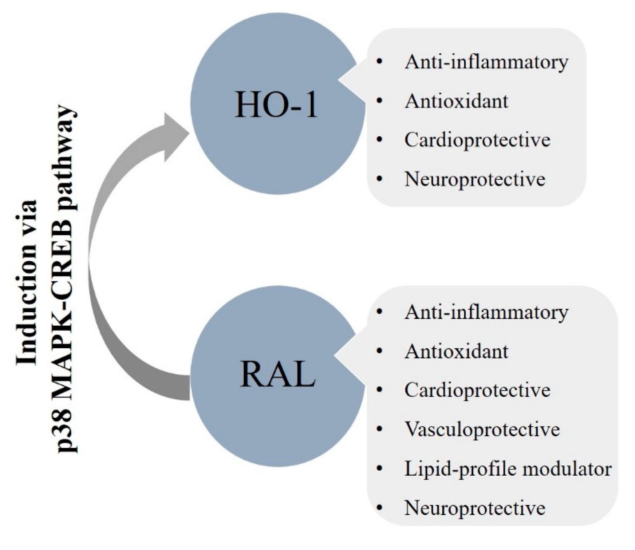 Biomolecules 10 00375 g003