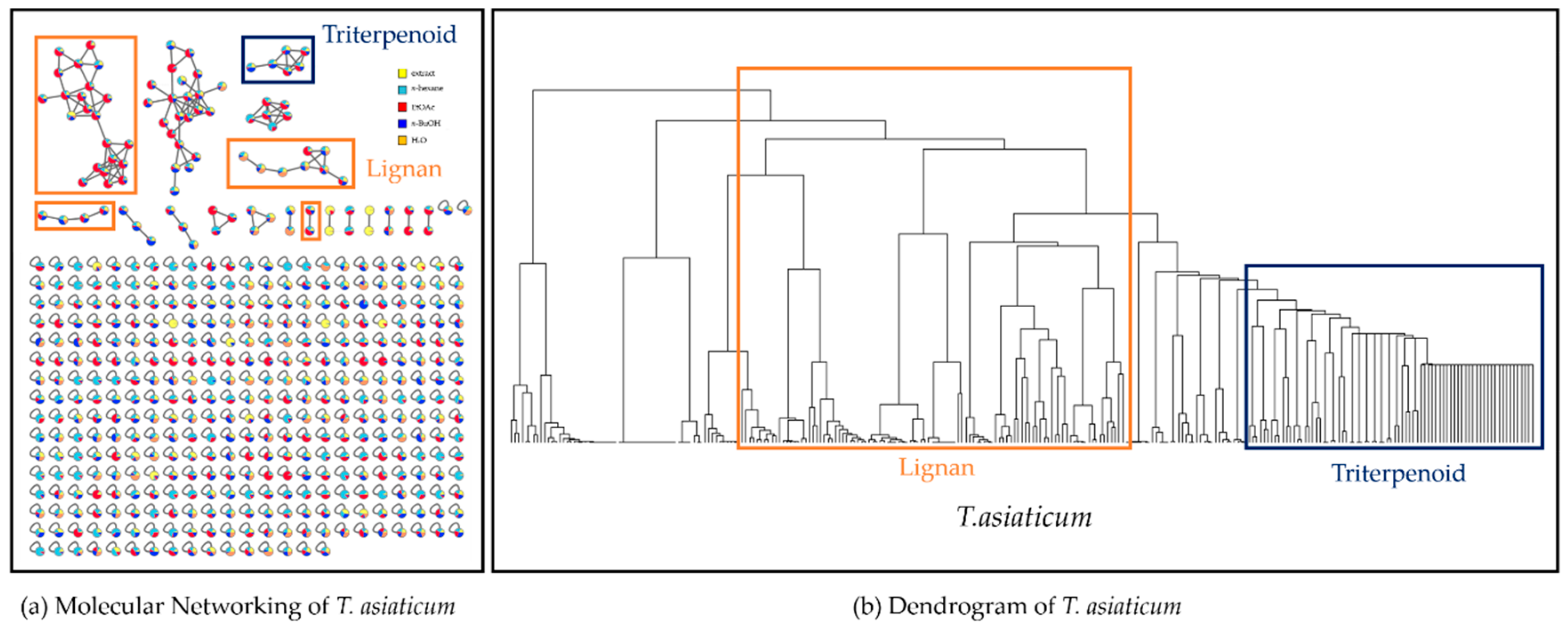 Biomolecules 10 00378 g003 Biomolecules 10 00378 g003