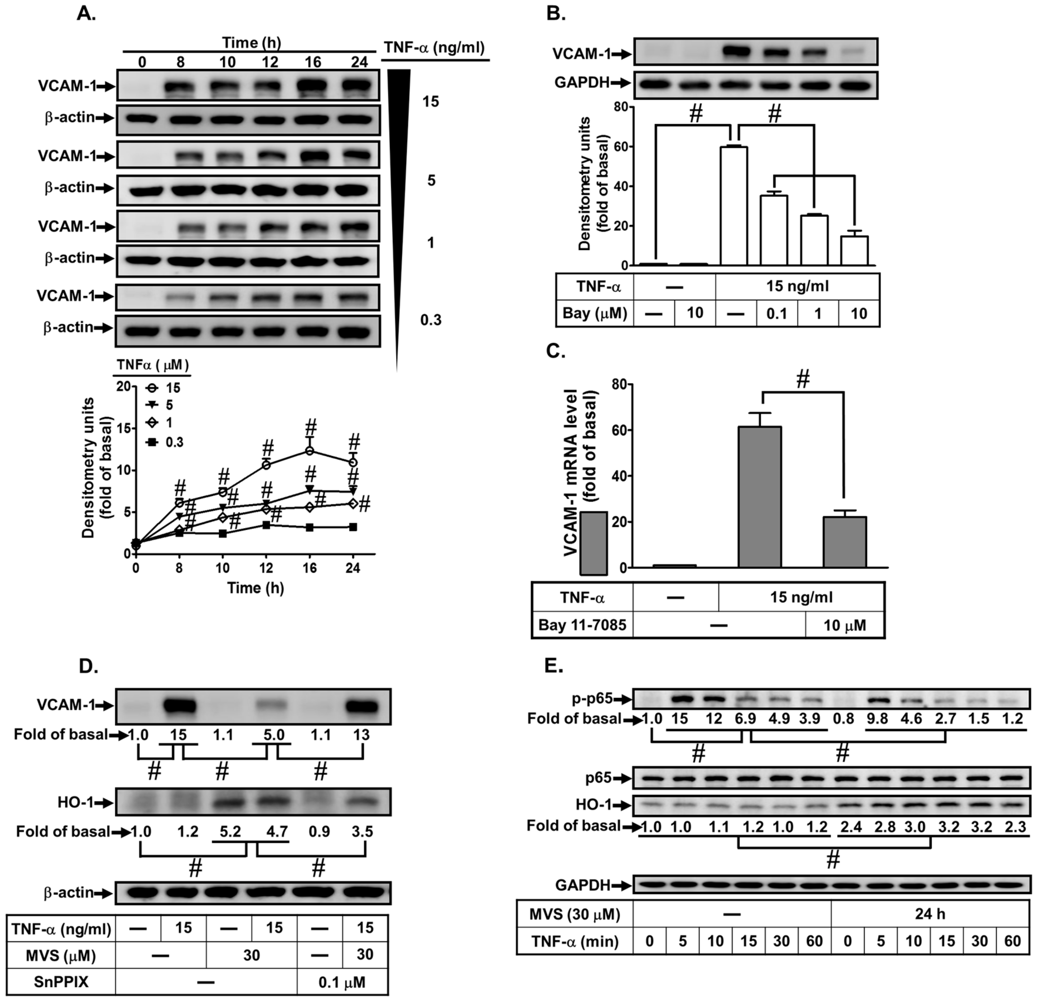 Biomolecules 10 00381 g001 Biomolecules 10 00381 g001