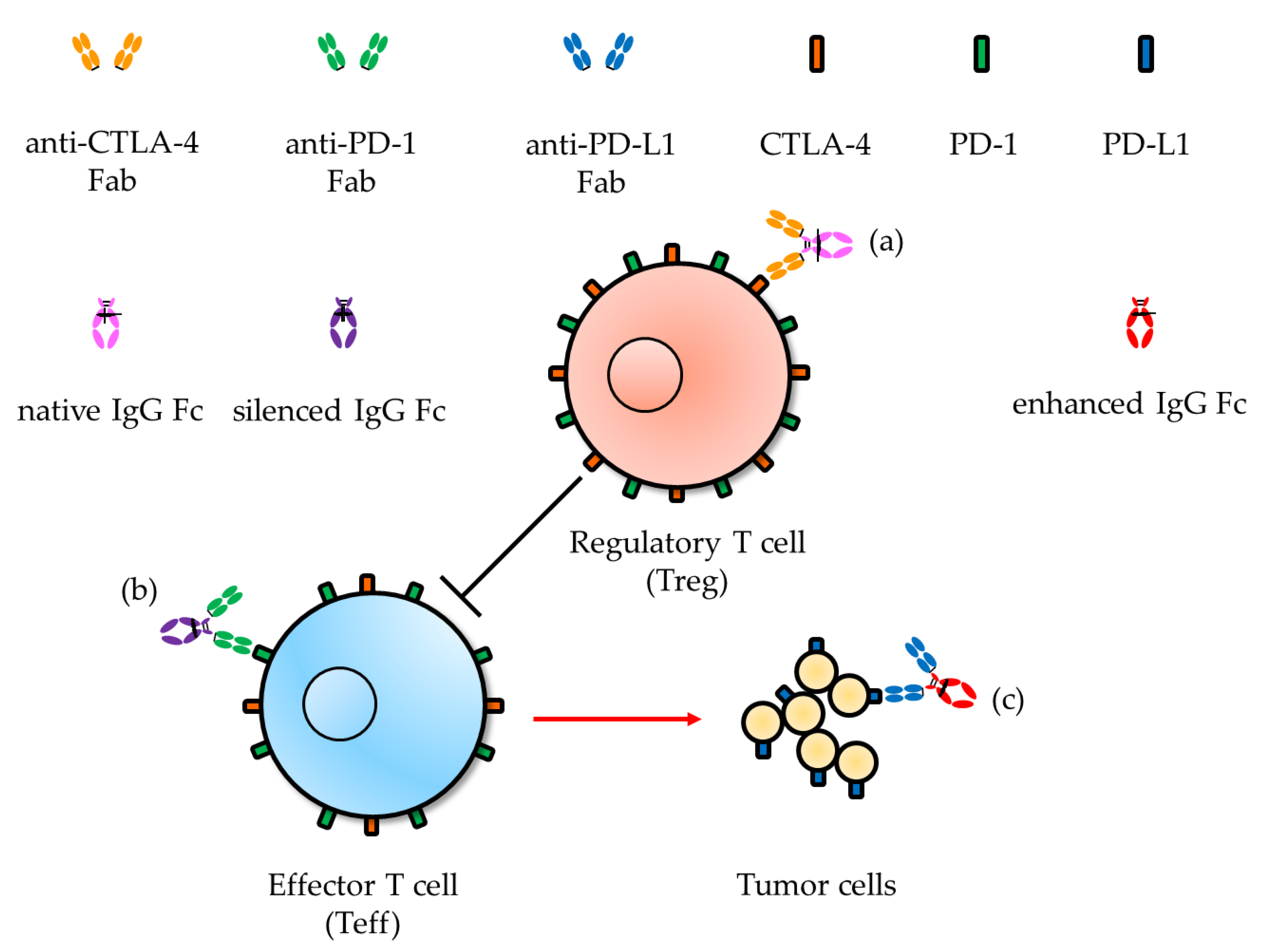 Biomolecules 10 00382 g002 Biomolecules 10 00382 g002