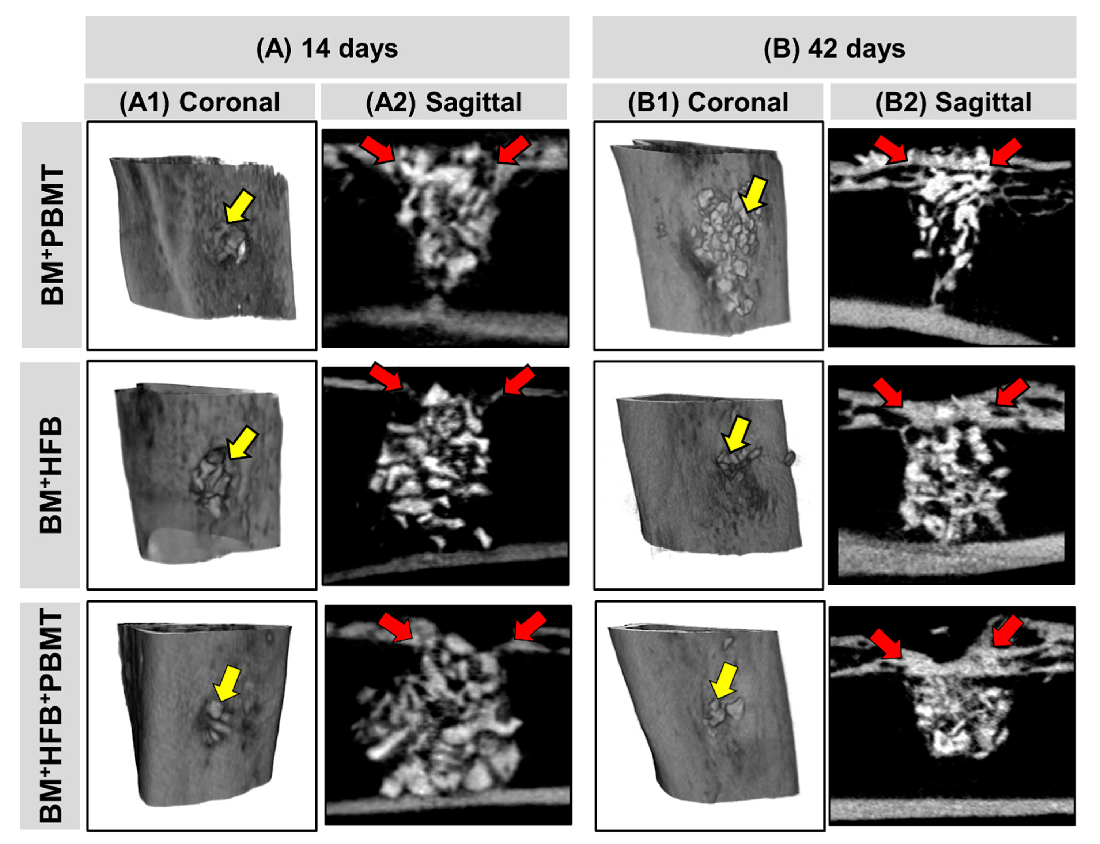 Biomolecules 10 00383 g003 Biomolecules 10 00383 g003
