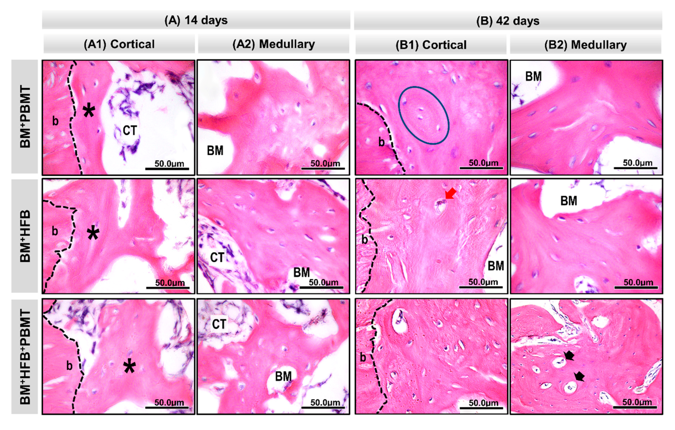 Biomolecules 10 00383 g005 Biomolecules 10 00383 g005