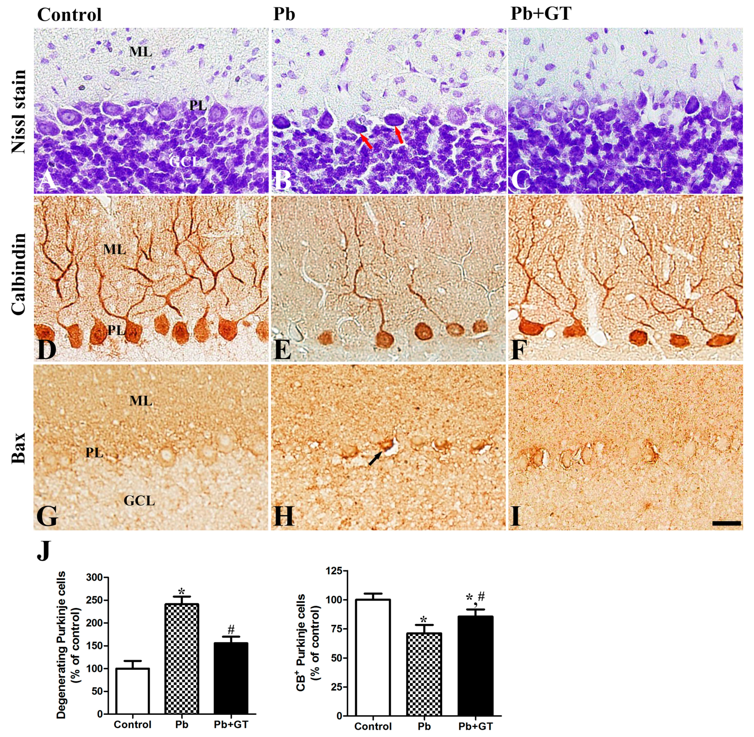 Biomolecules 10 00385 g002