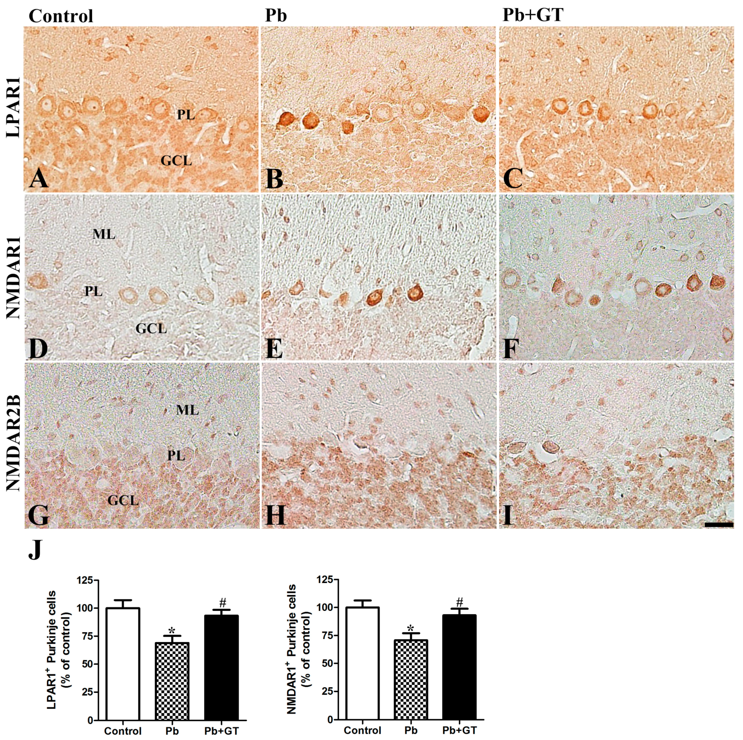 Biomolecules 10 00385 g004