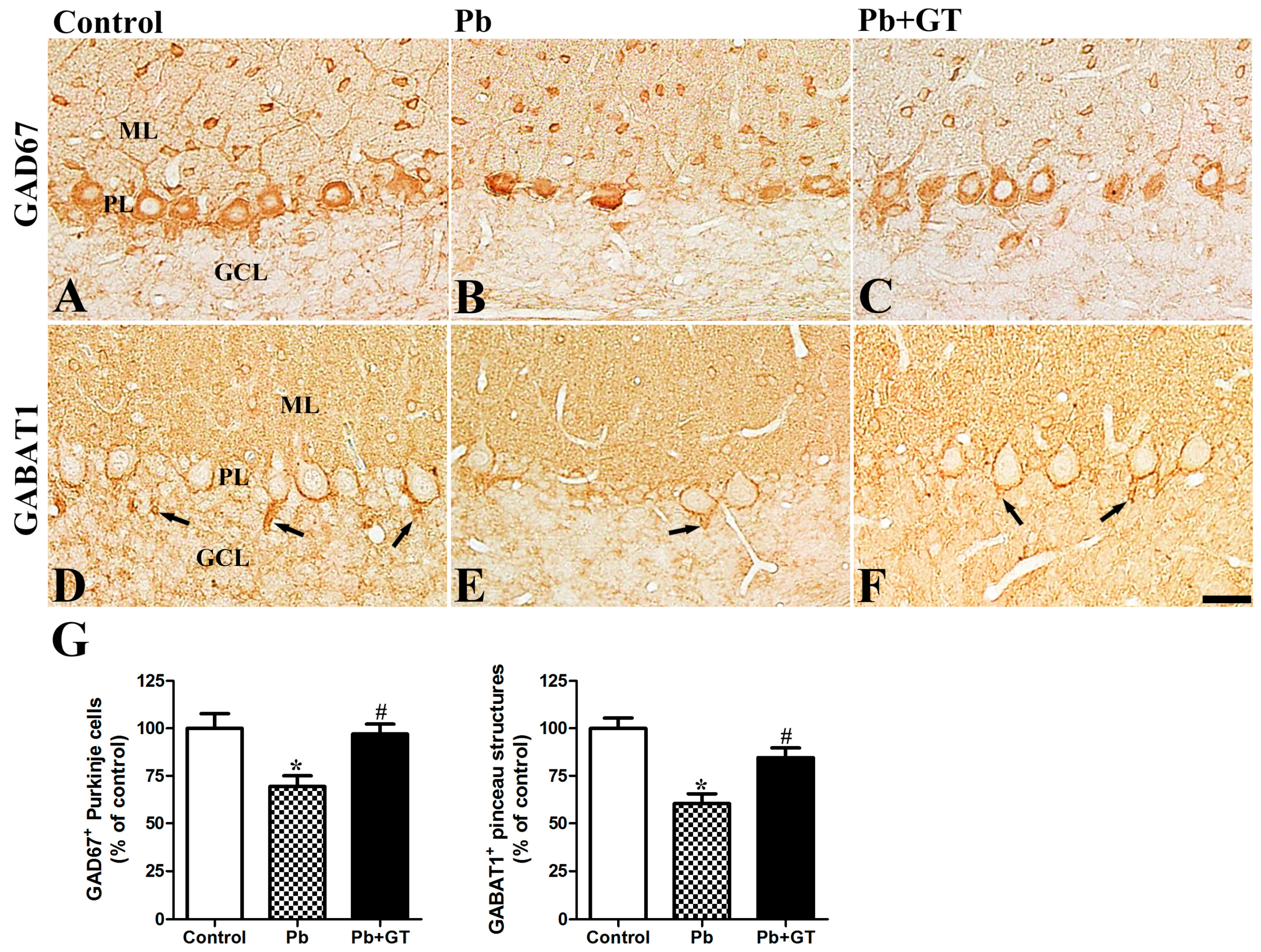 Biomolecules 10 00385 g005