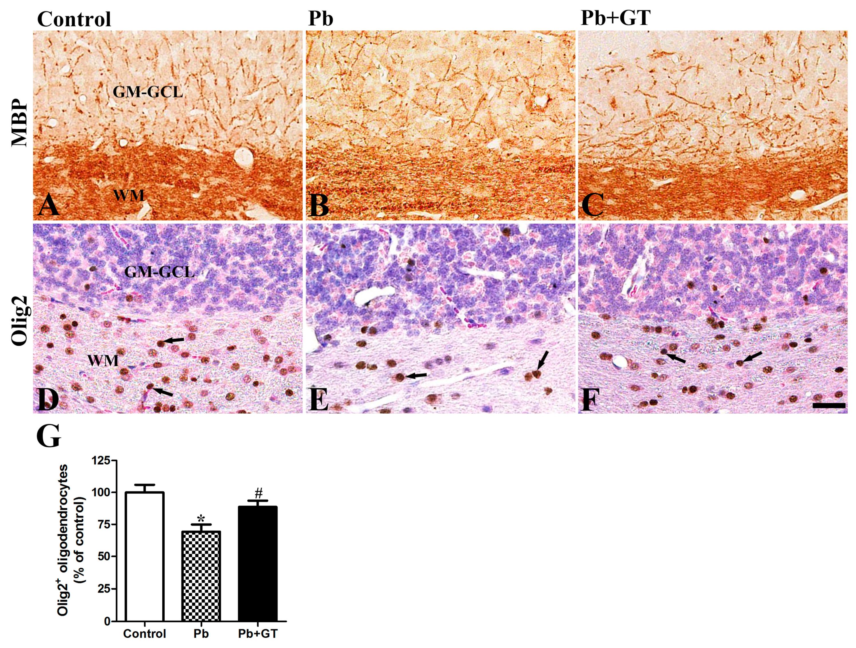 Biomolecules 10 00385 g006