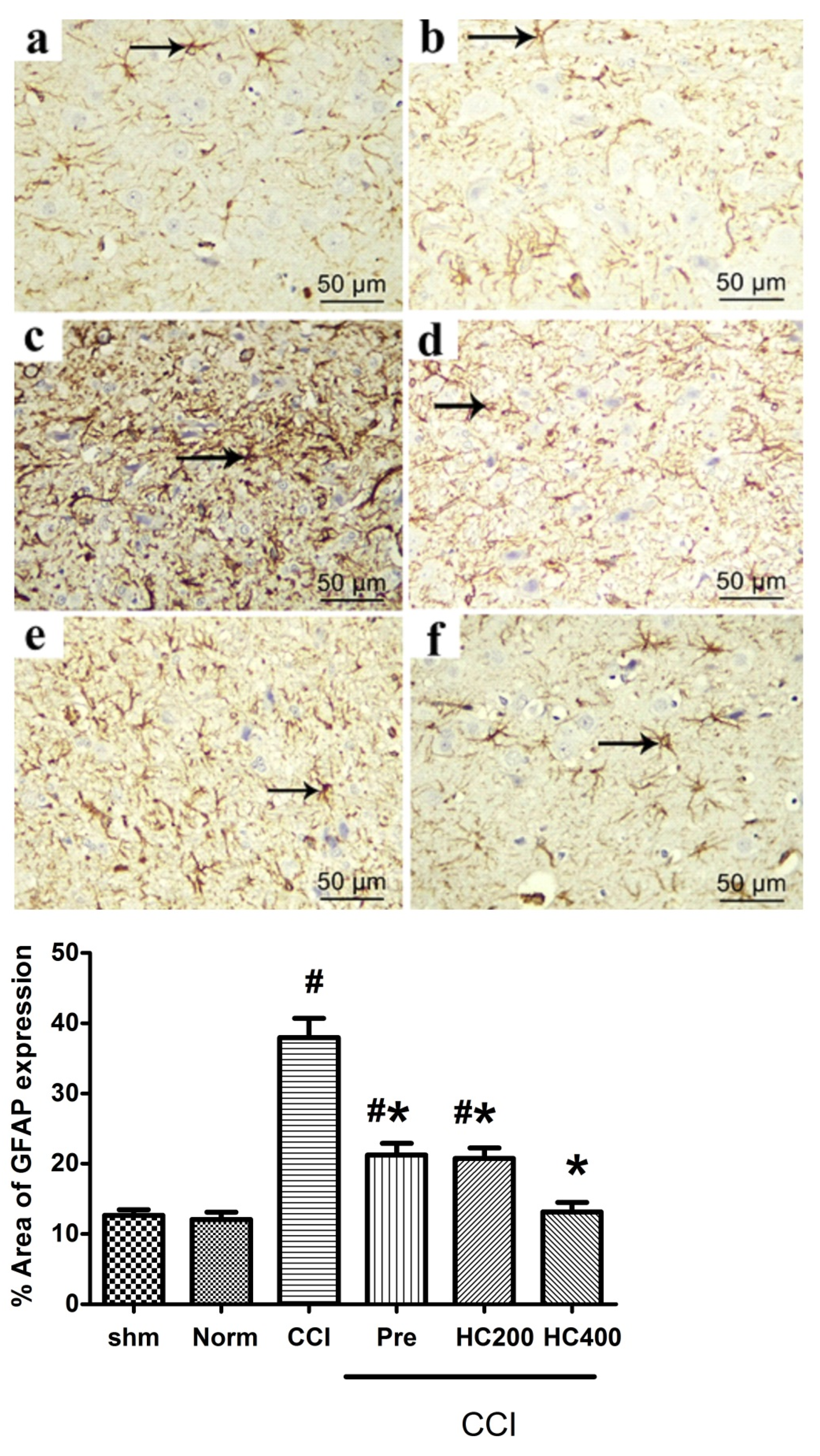 Biomolecules 10 00386 g012 Biomolecules 10 00386 g012