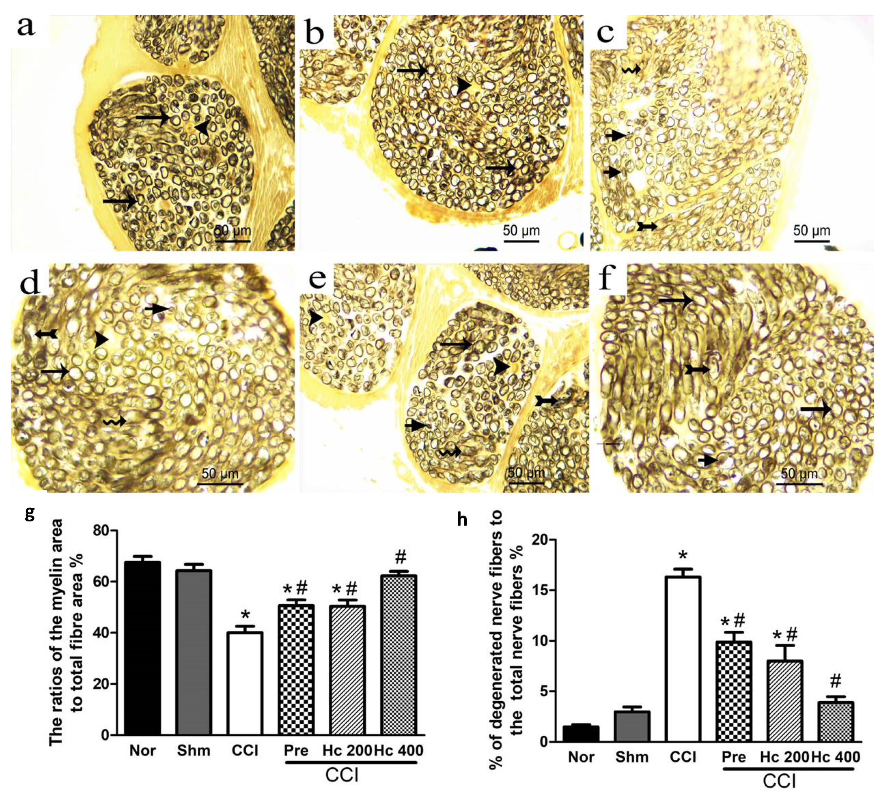 Biomolecules 10 00386 g015 Biomolecules 10 00386 g015