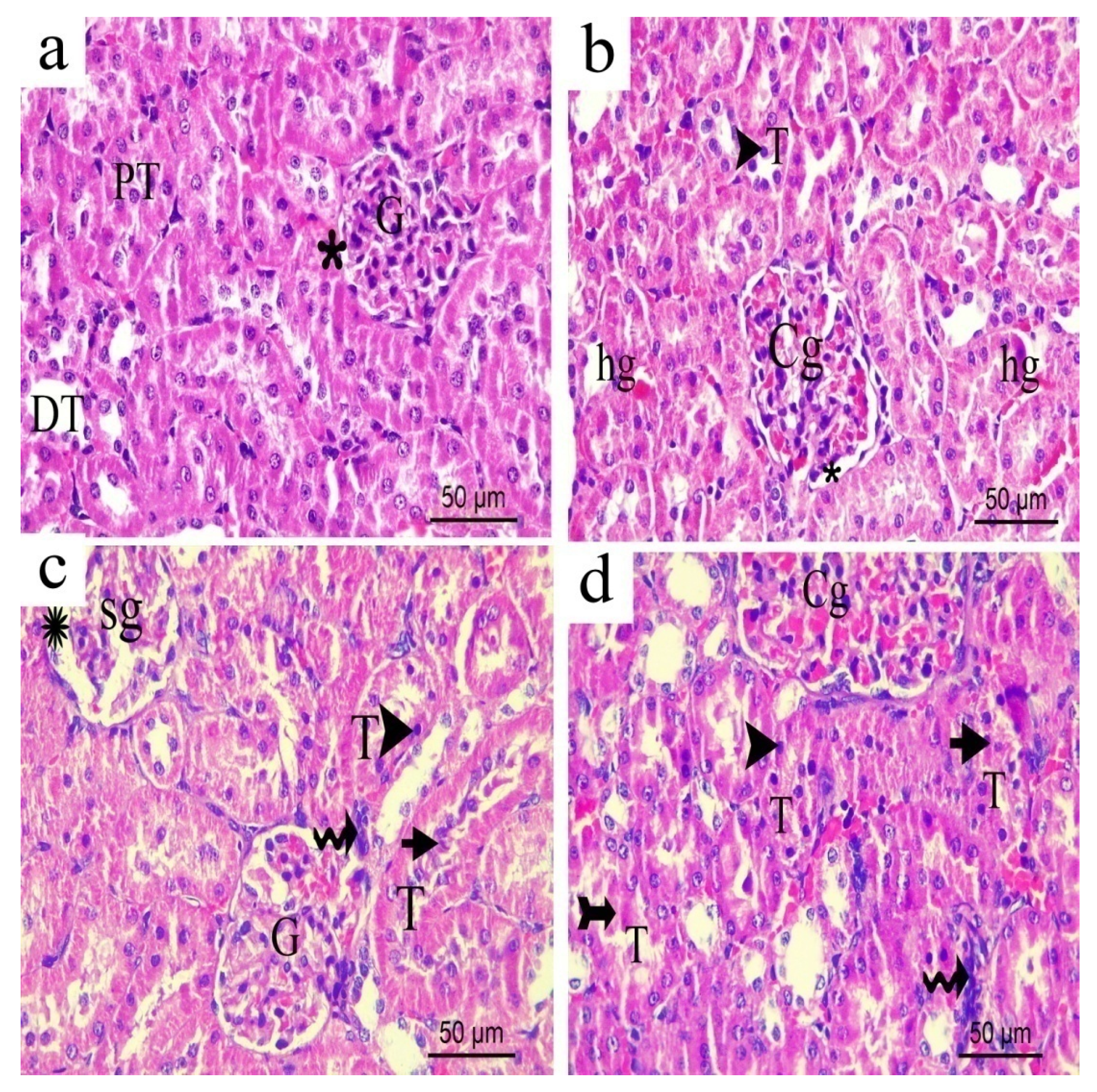 Biomolecules 10 00386 g018 Biomolecules 10 00386 g018