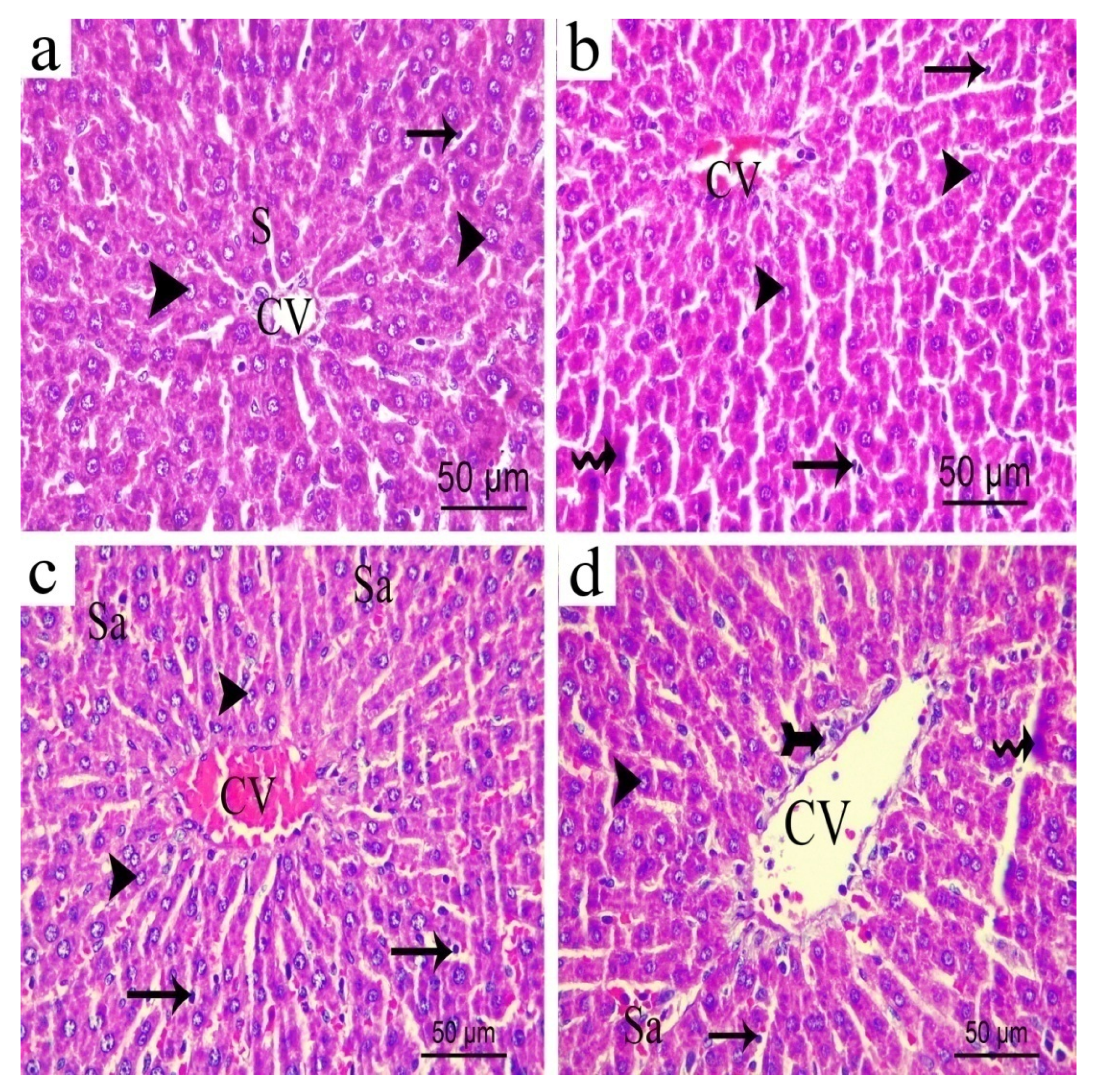 Biomolecules 10 00386 g019 Biomolecules 10 00386 g019