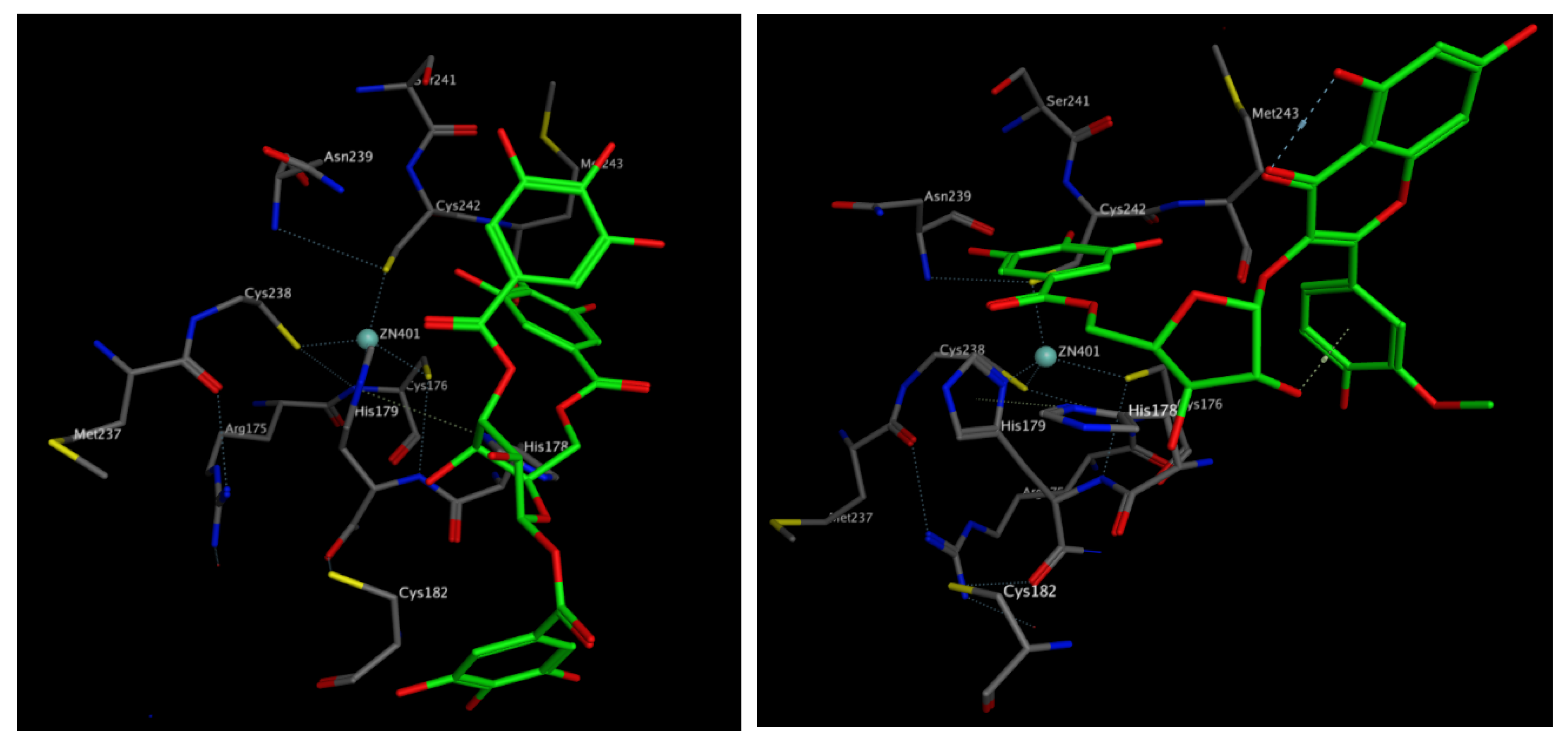 Biomolecules 10 00386 g020 Biomolecules 10 00386 g020