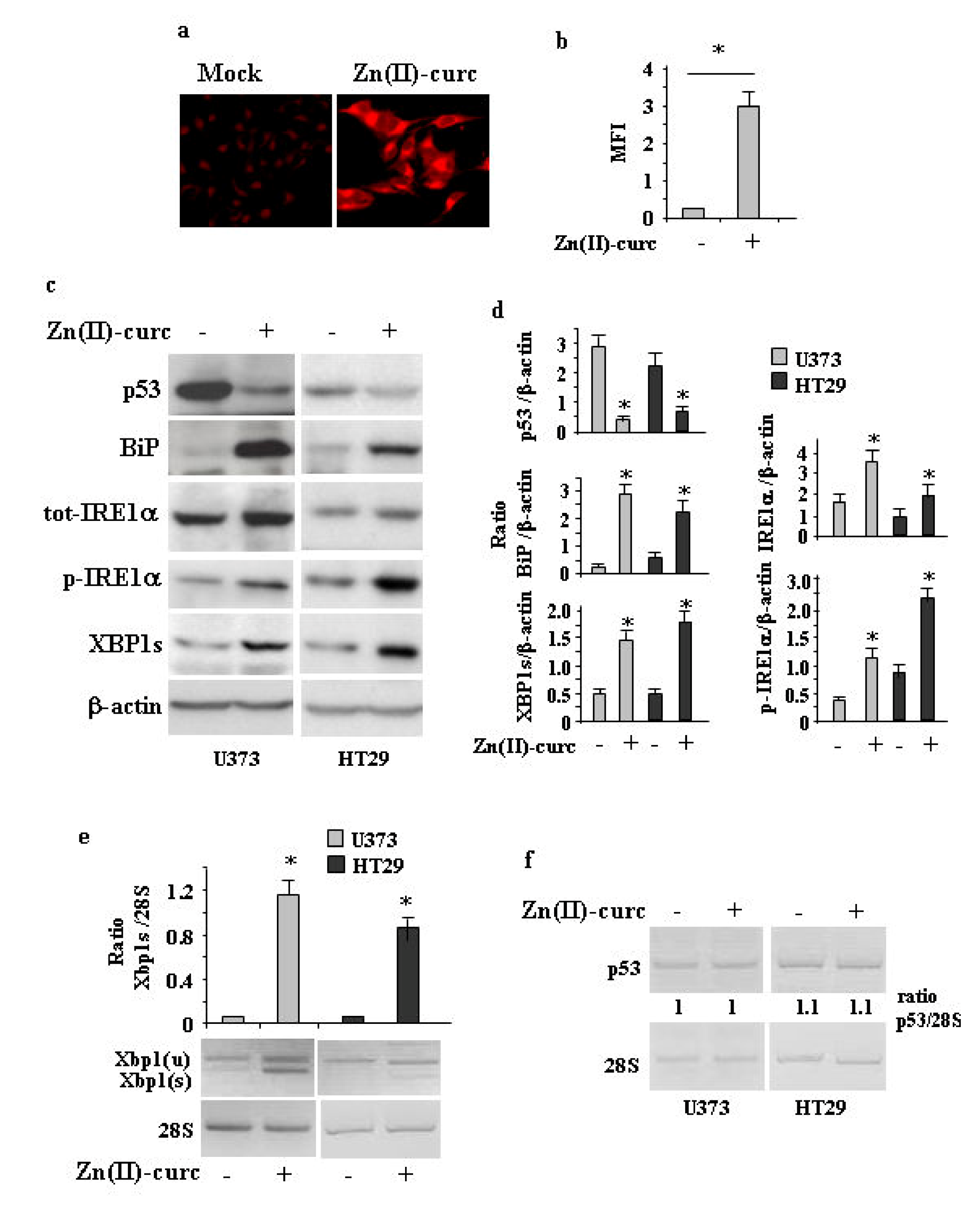 Biomolecules 10 00392 g001
