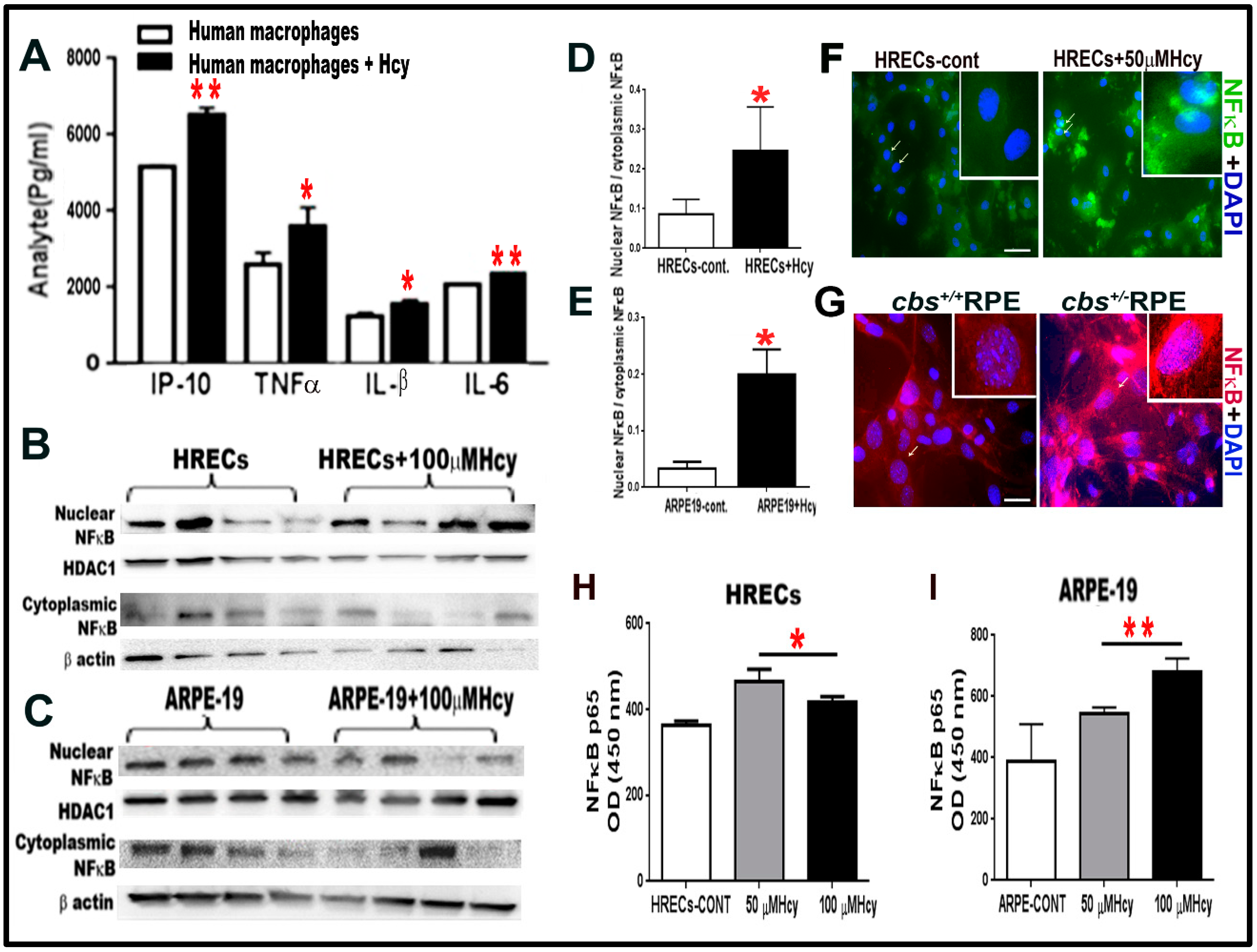Biomolecules 10 00393 g002 Biomolecules 10 00393 g002