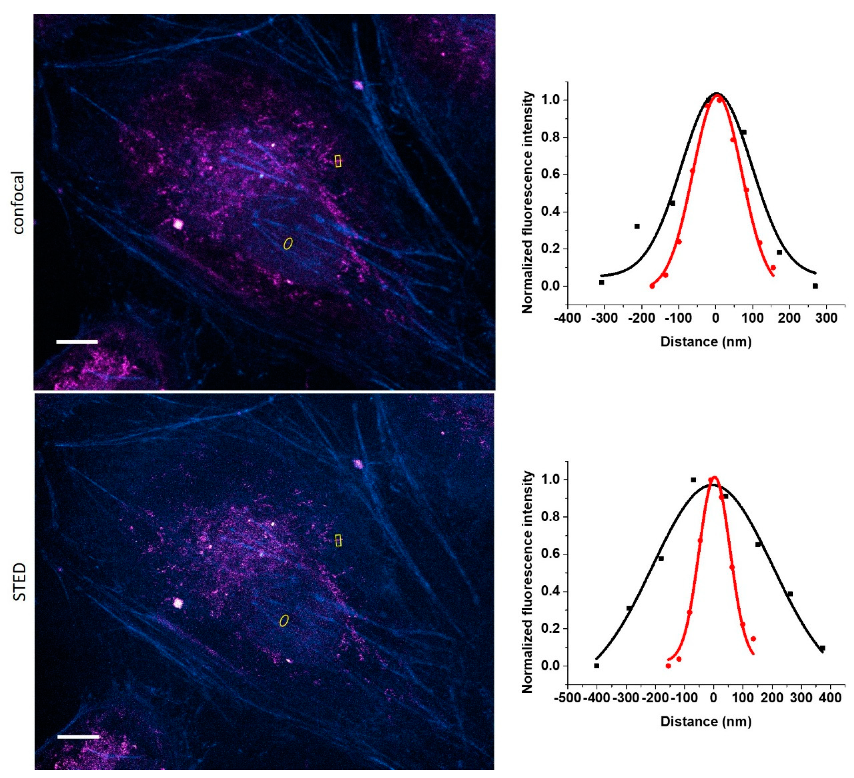 Biomolecules 10 00397 g004 Biomolecules 10 00397 g004