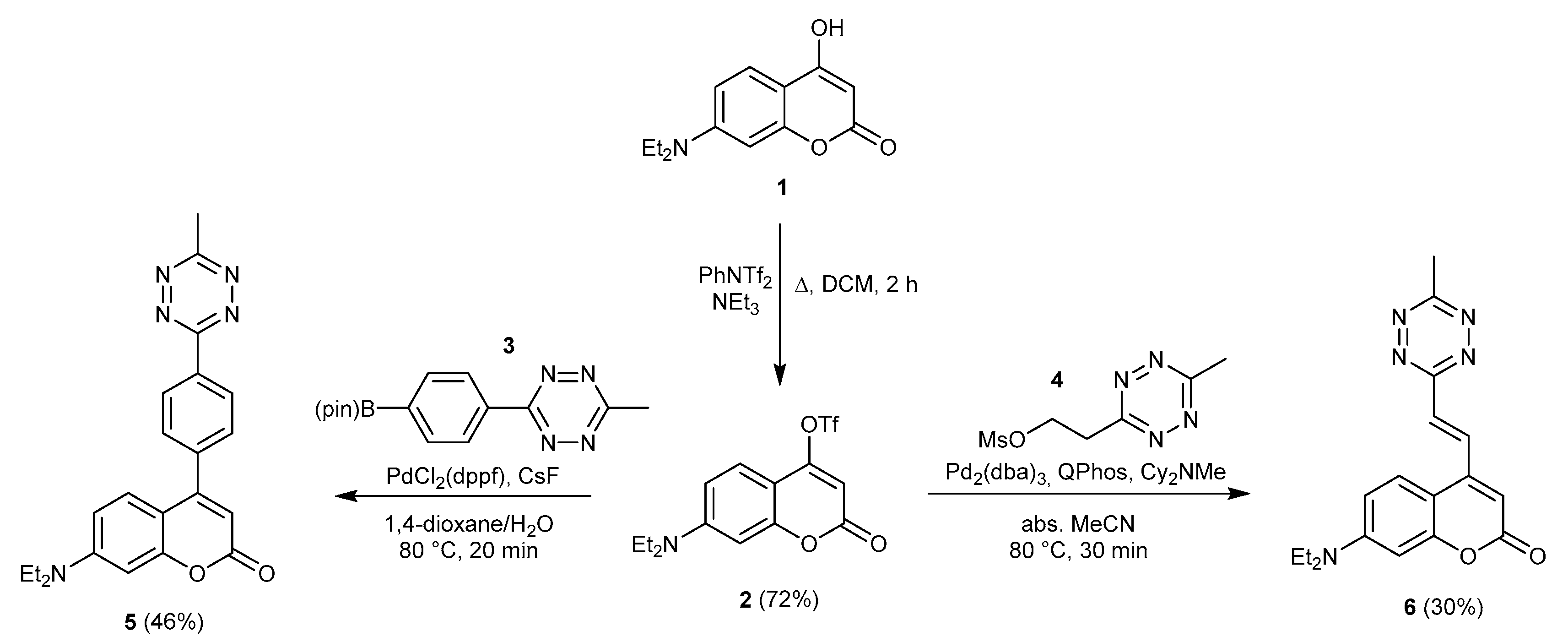 Biomolecules 10 00397 sch002 Biomolecules 10 00397 sch002