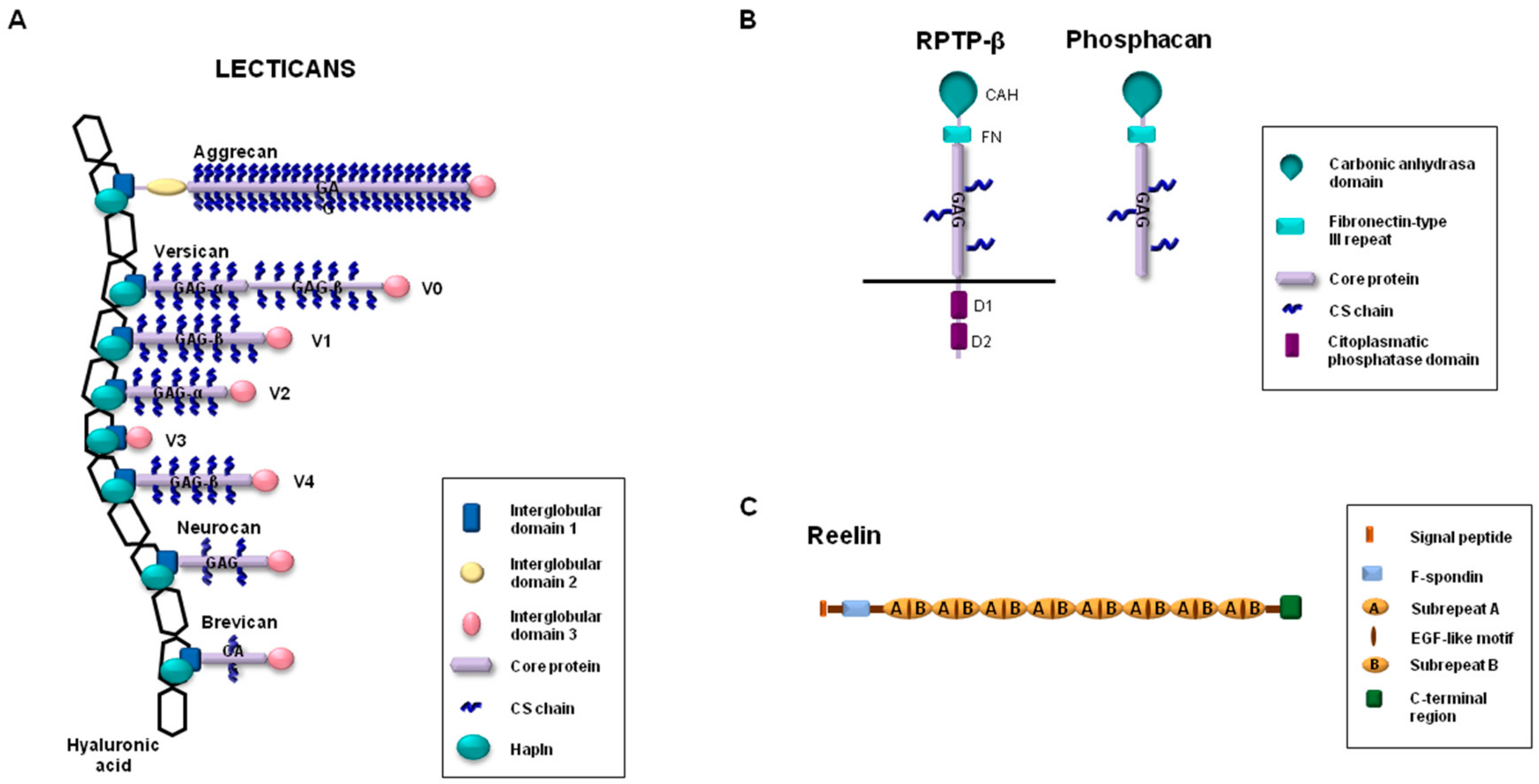 Biomolecules 10 00403 g001