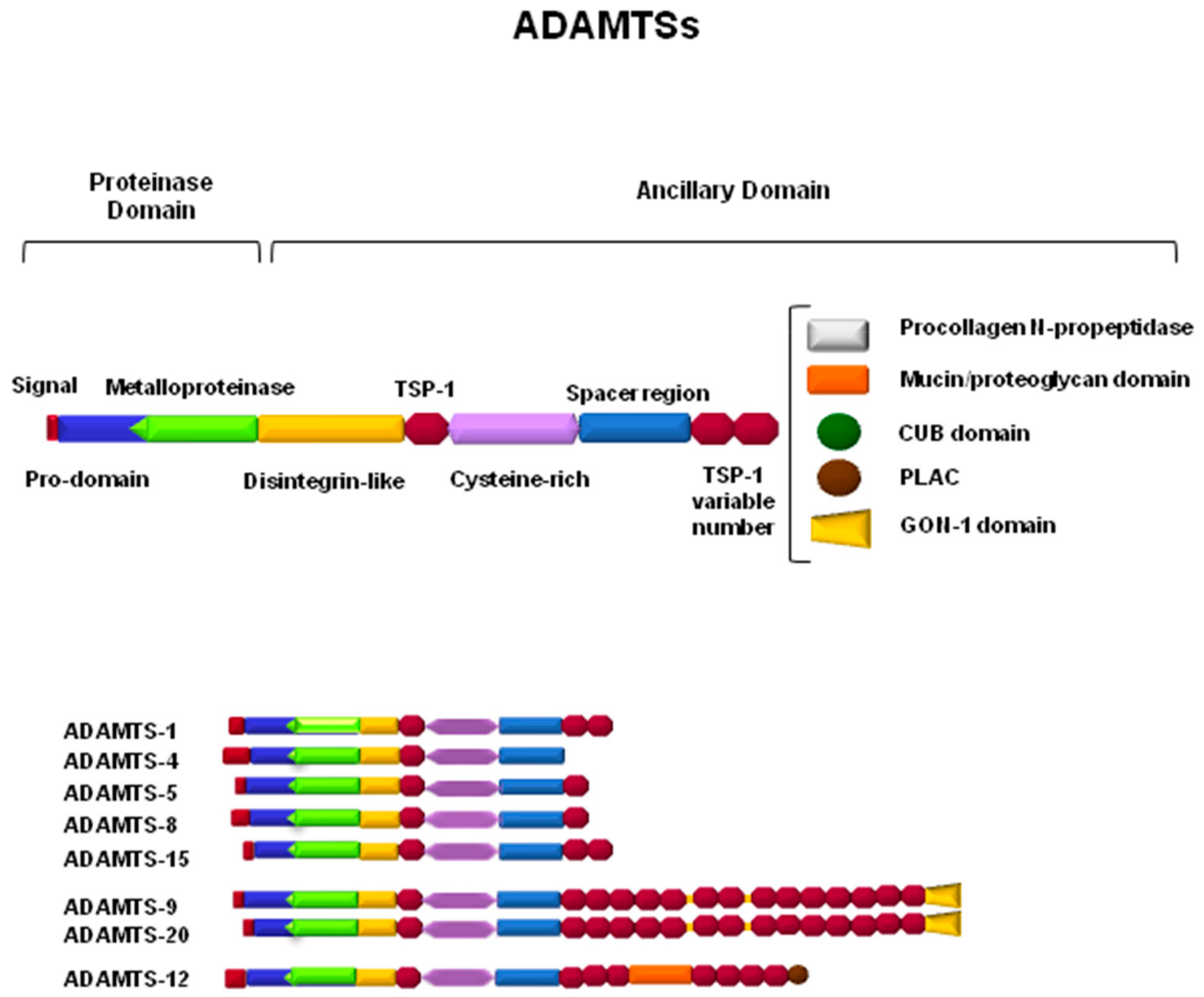 Biomolecules 10 00403 g002