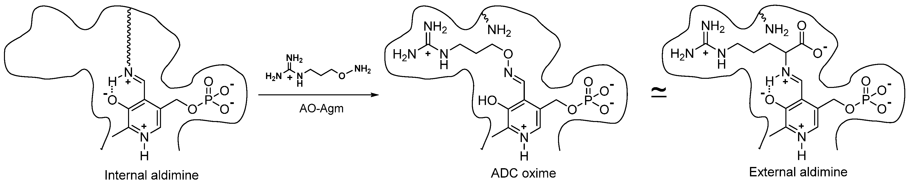 Biomolecules 10 00406 g007 550