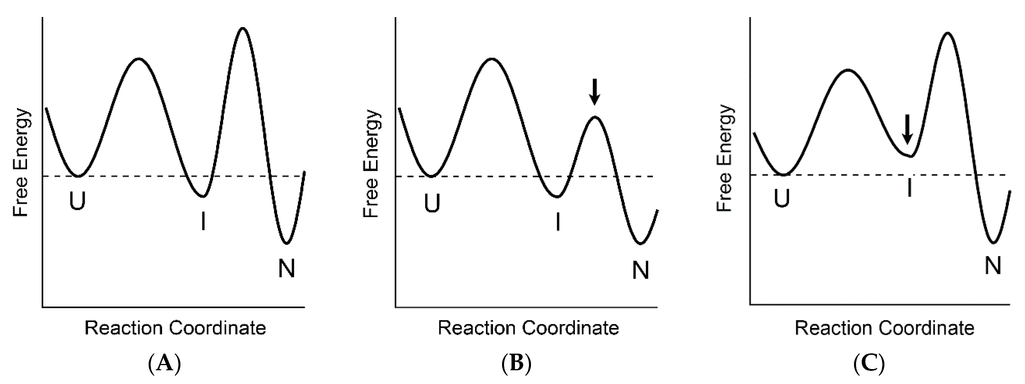 Biomolecules 10 00407 g006