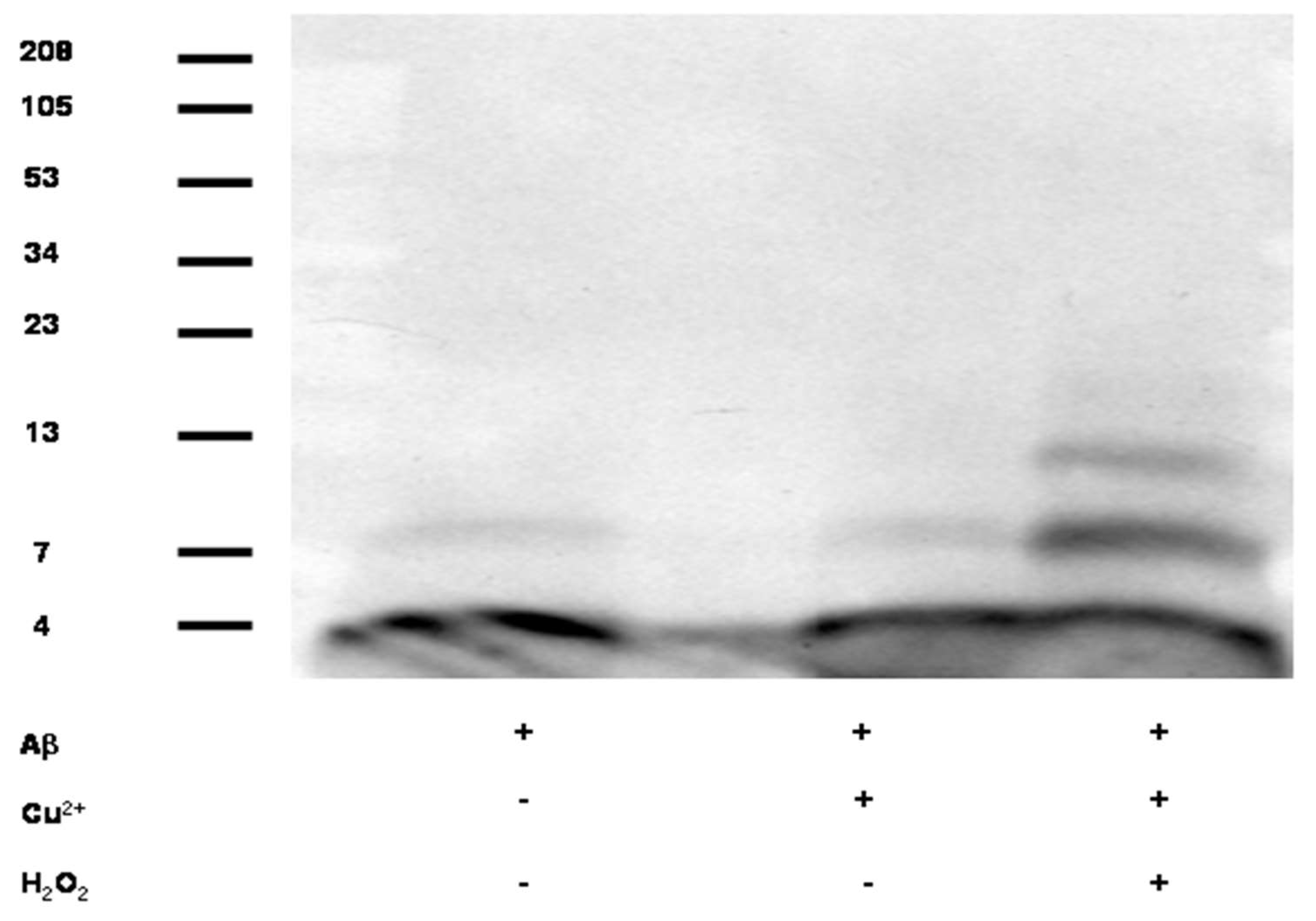Biomolecules 10 00408 g001