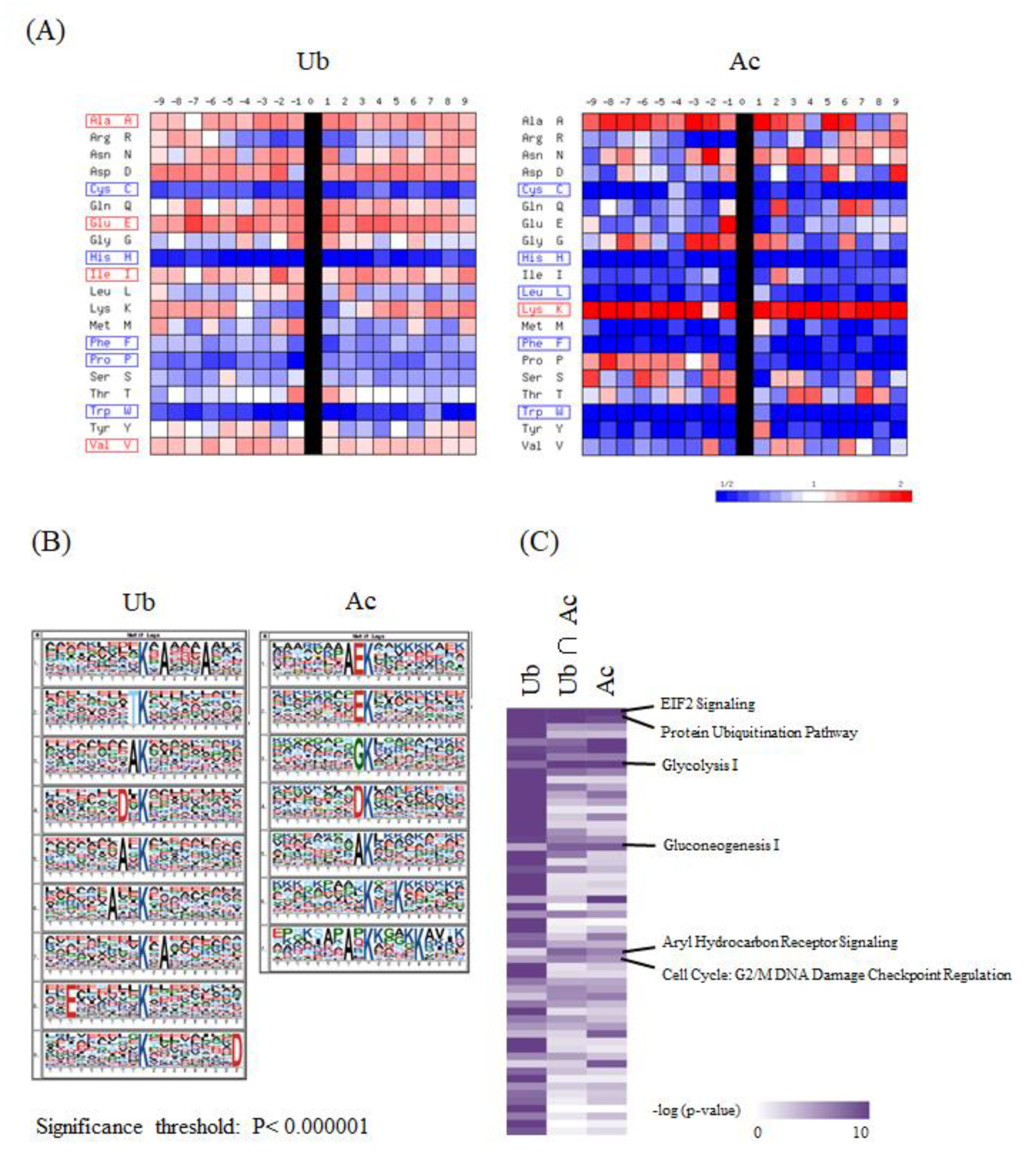 Biomolecules 10 00411 g003a Biomolecules 10 00411 g003a