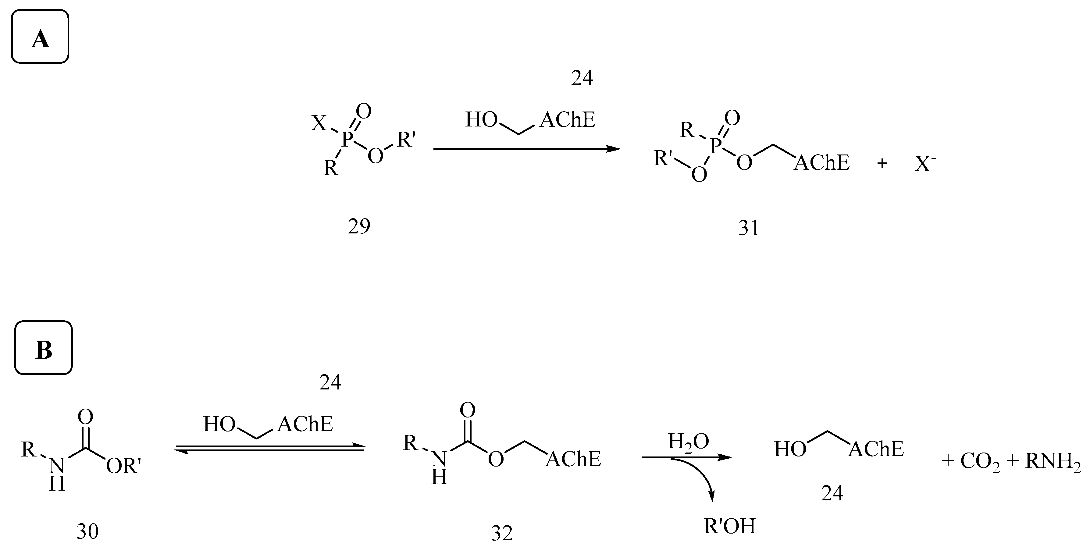 Biomolecules 10 00414 sch003