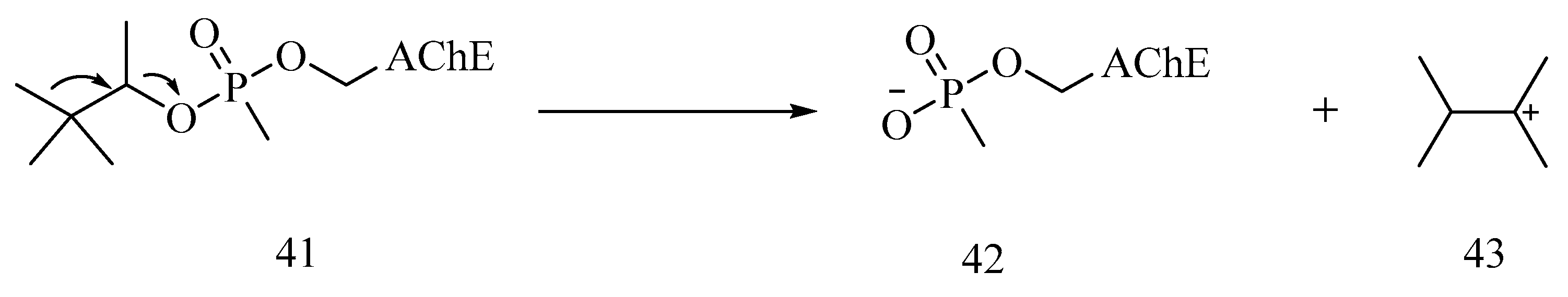 Biomolecules 10 00414 sch004