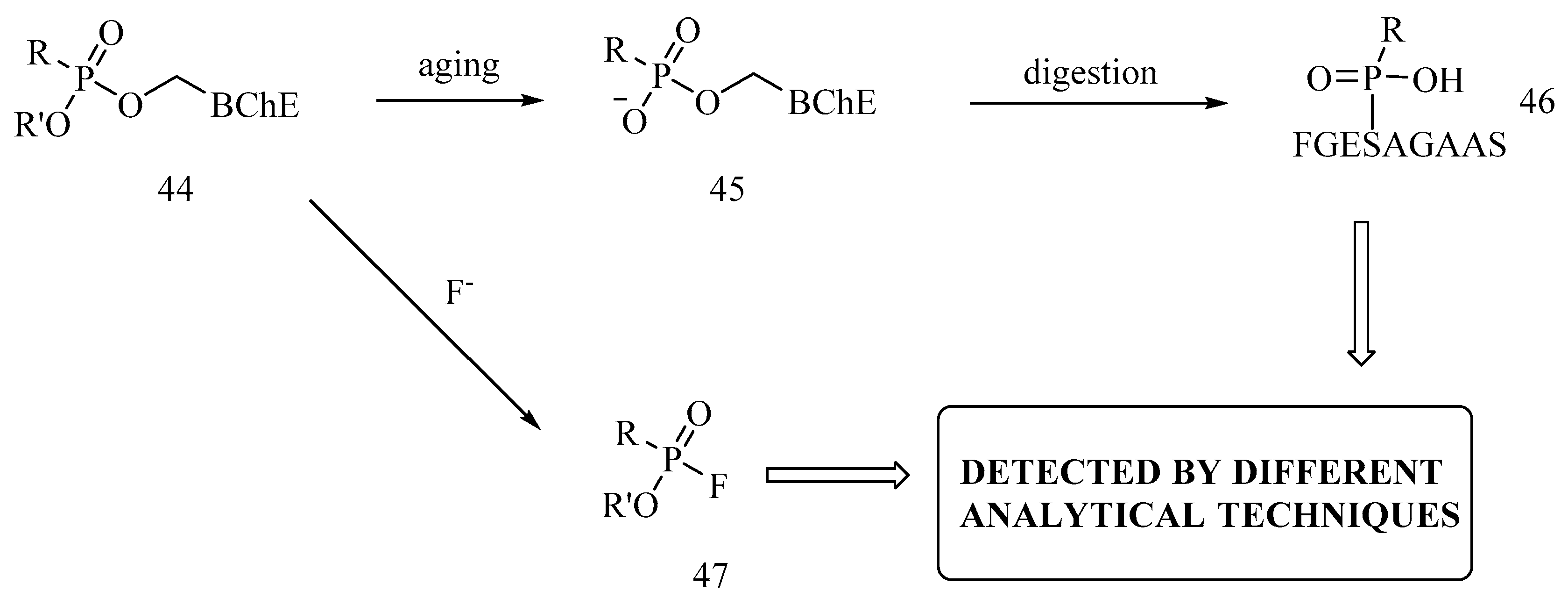 Biomolecules 10 00414 sch005
