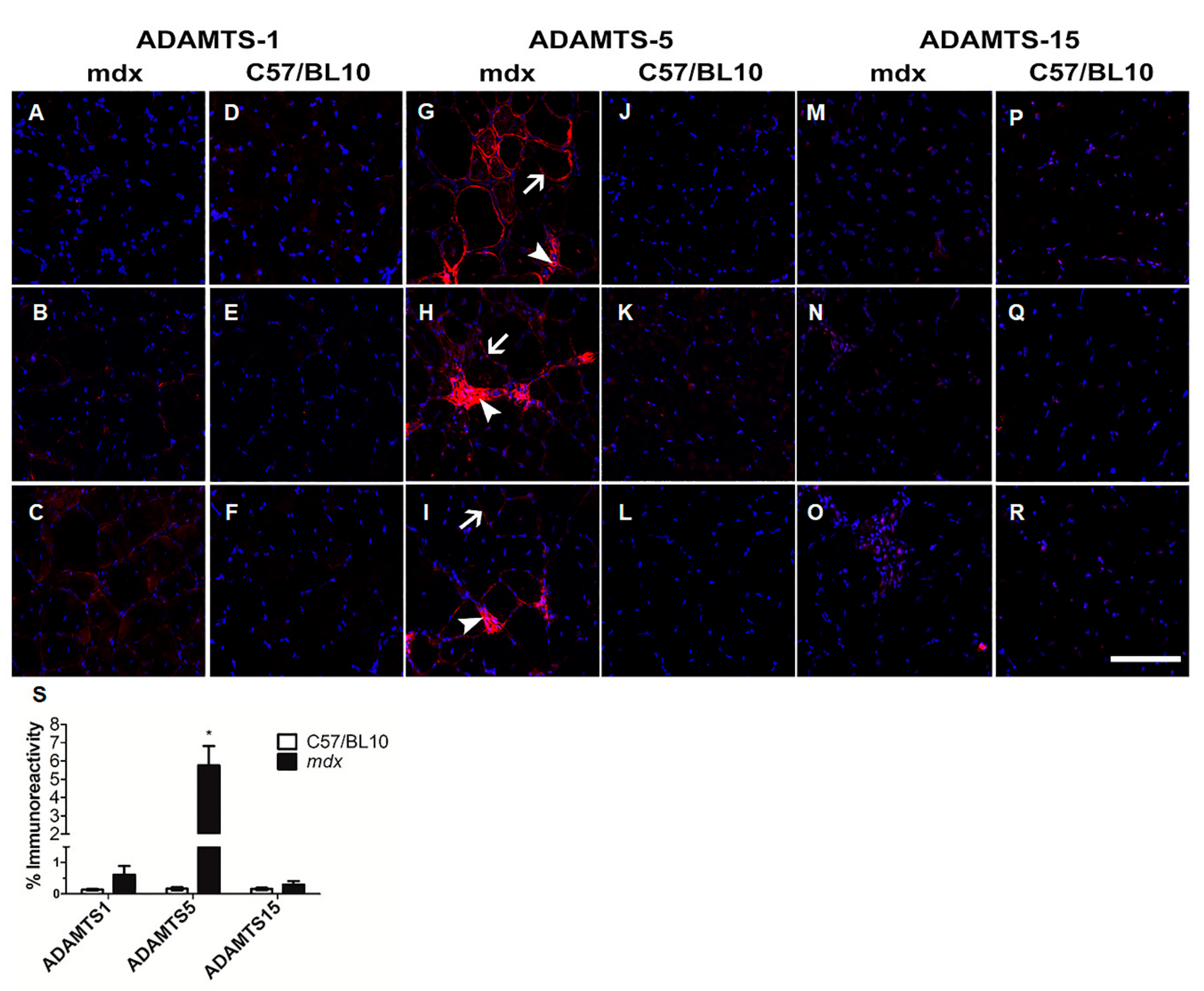 Biomolecules 10 00416 g001 Biomolecules 10 00416 g001