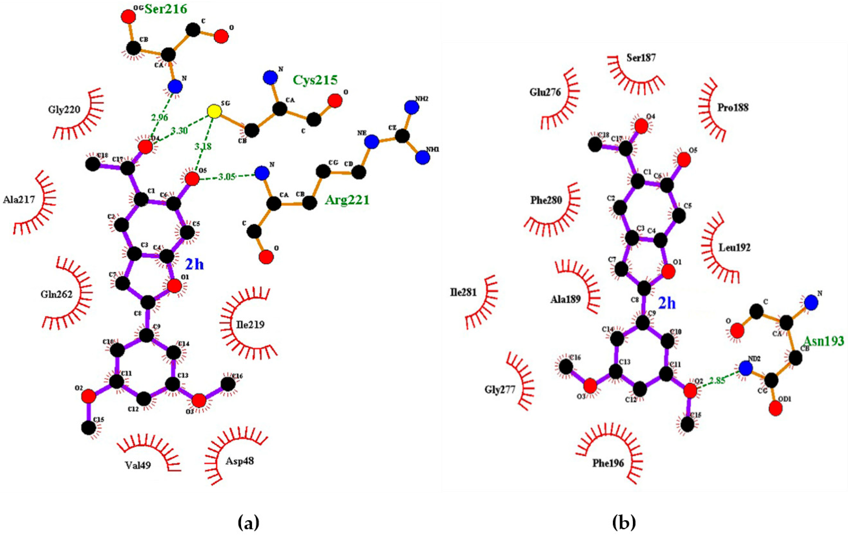 Biomolecules 10 00418 g007 Biomolecules 10 00418 g007