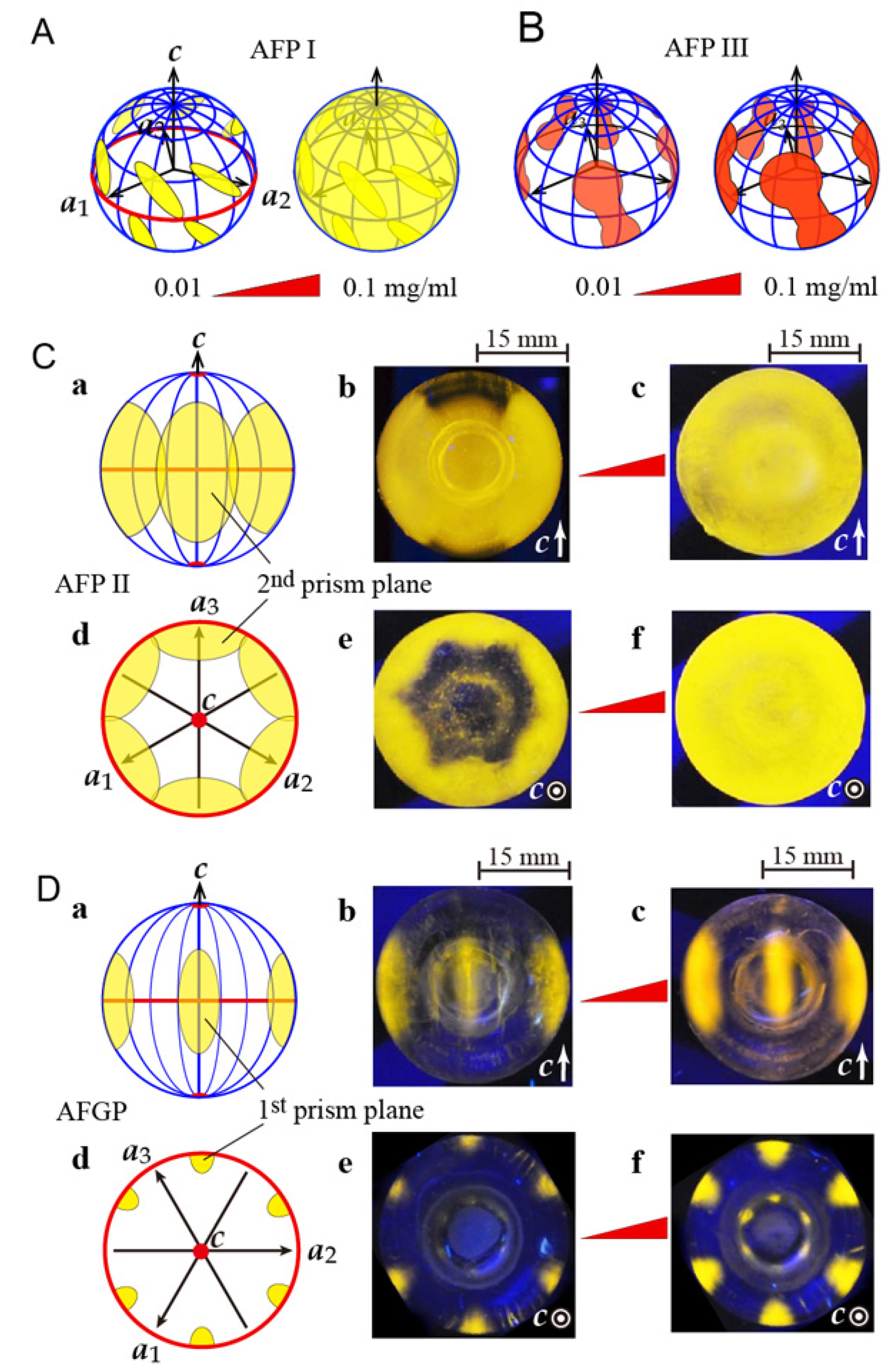 Biomolecules 10 00423 g003 Biomolecules 10 00423 g003