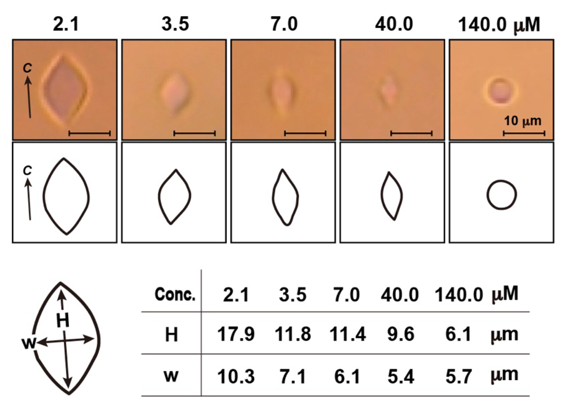 Biomolecules 10 00423 g004 Biomolecules 10 00423 g004