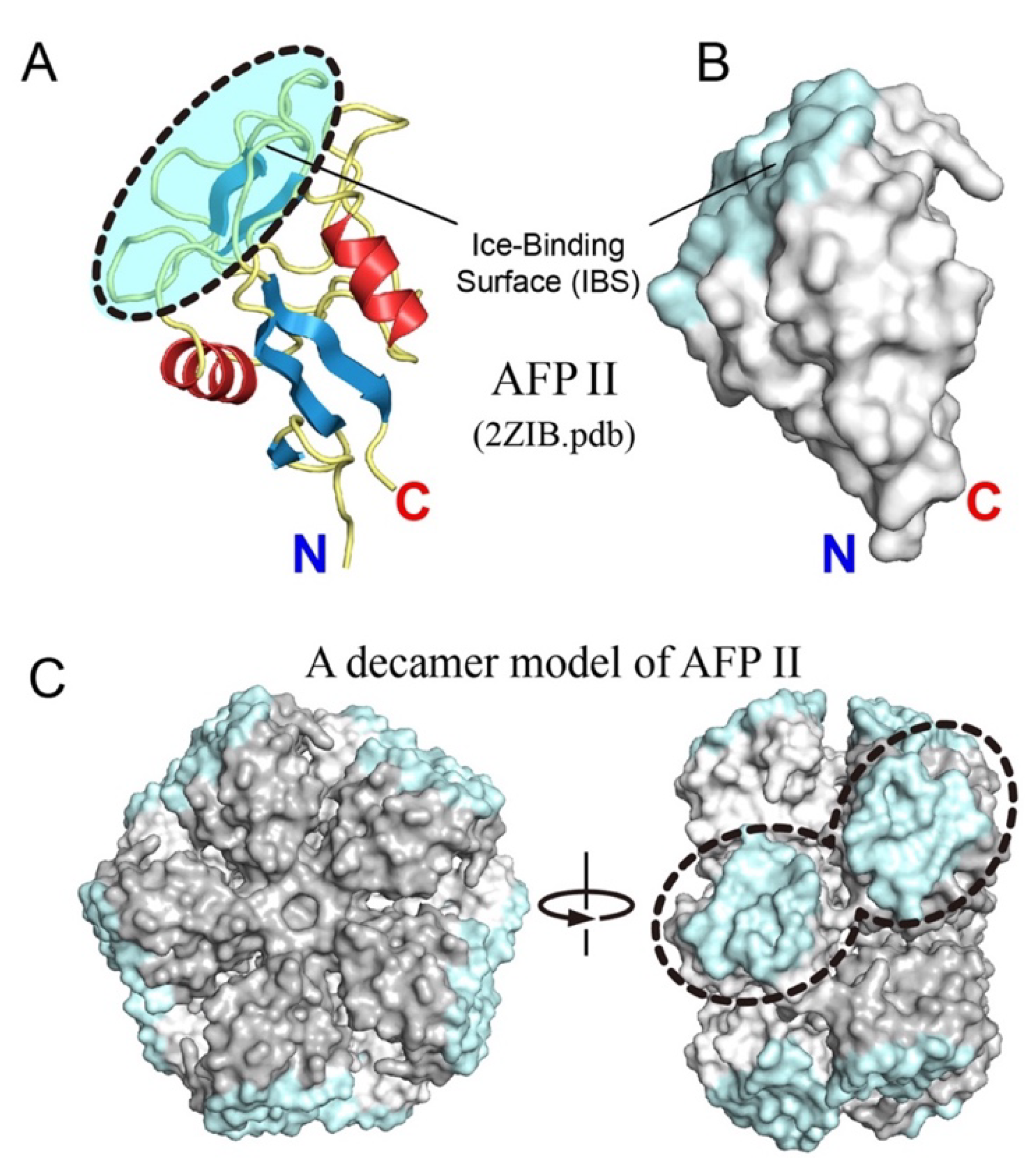 Biomolecules 10 00423 g005 Biomolecules 10 00423 g005