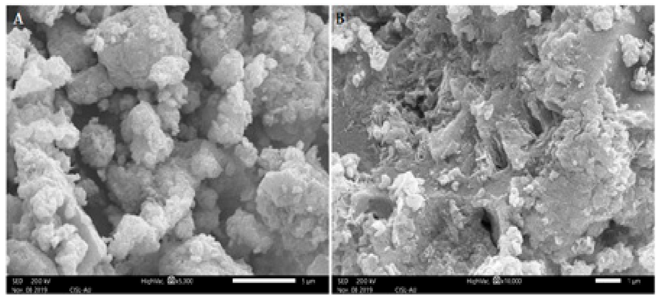 Biomolecules 10 00425 g004 Biomolecules 10 00425 g004