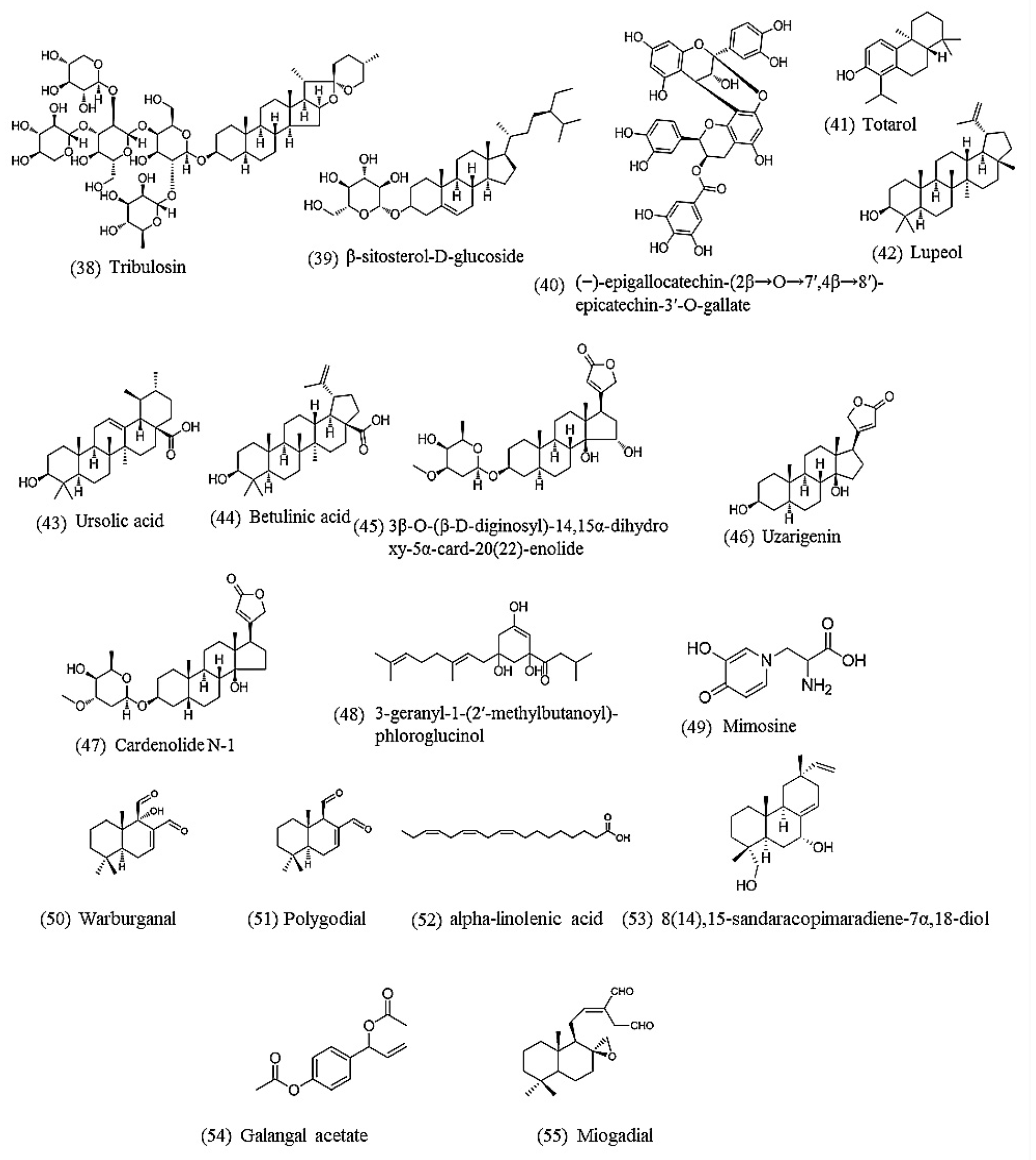 Biomolecules 10 00426 g002 Biomolecules 10 00426 g002
