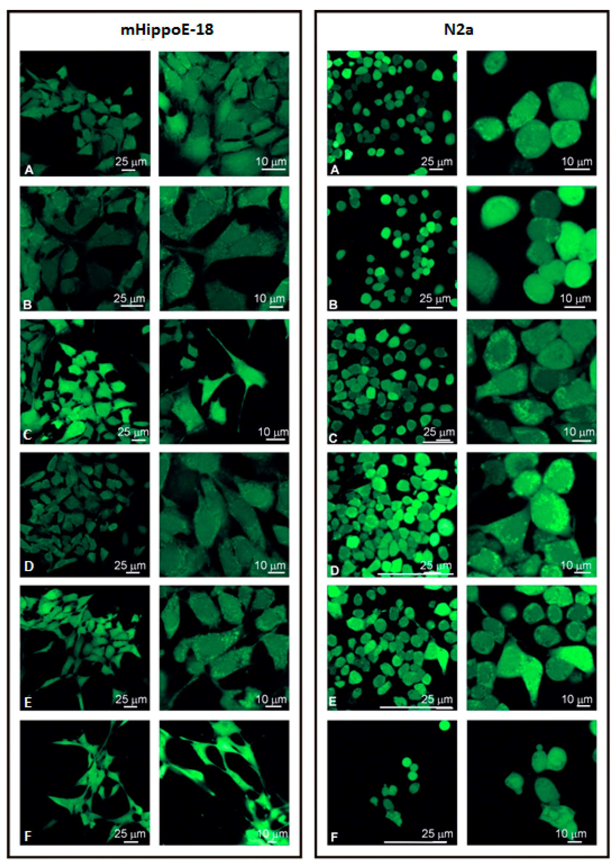 Biomolecules 10 00427 g004 Biomolecules 10 00427 g004