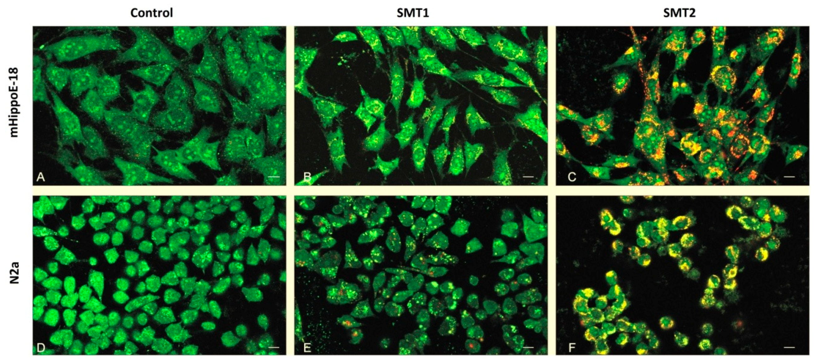 Biomolecules 10 00427 g007 Biomolecules 10 00427 g007